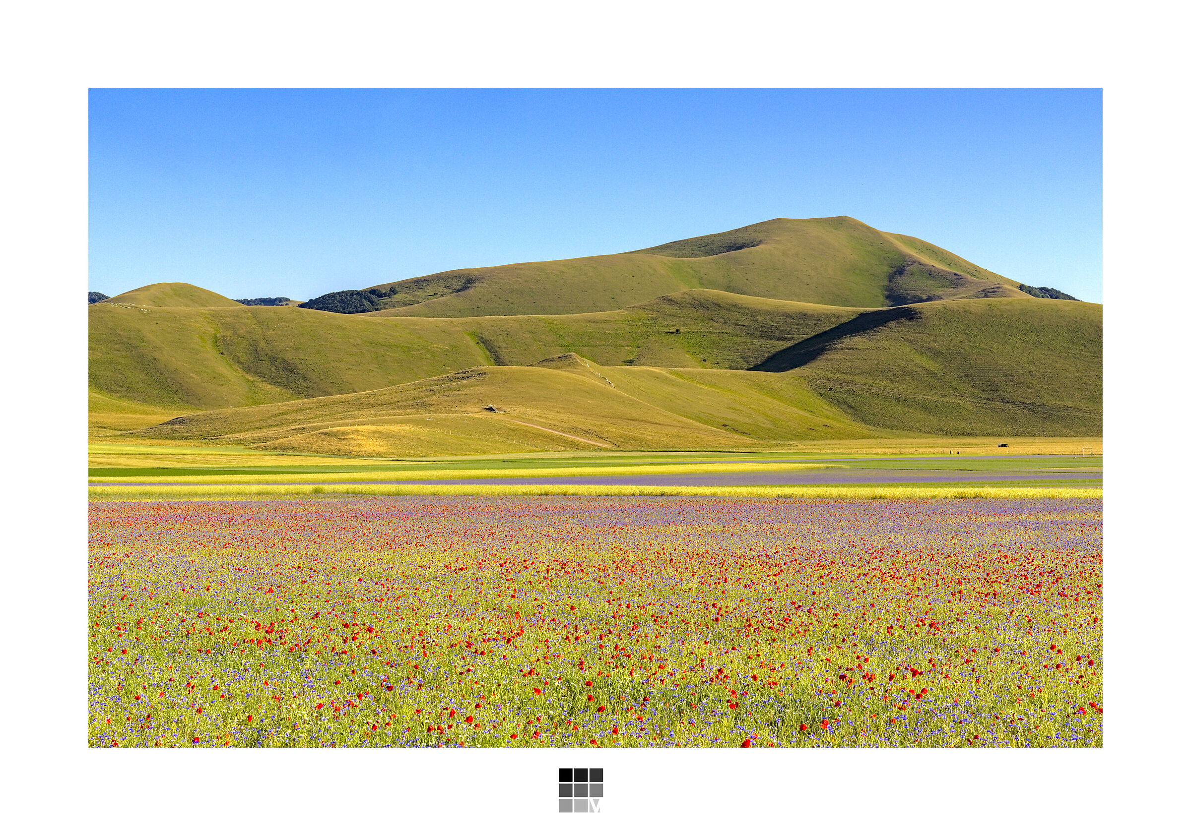 Castelluccio