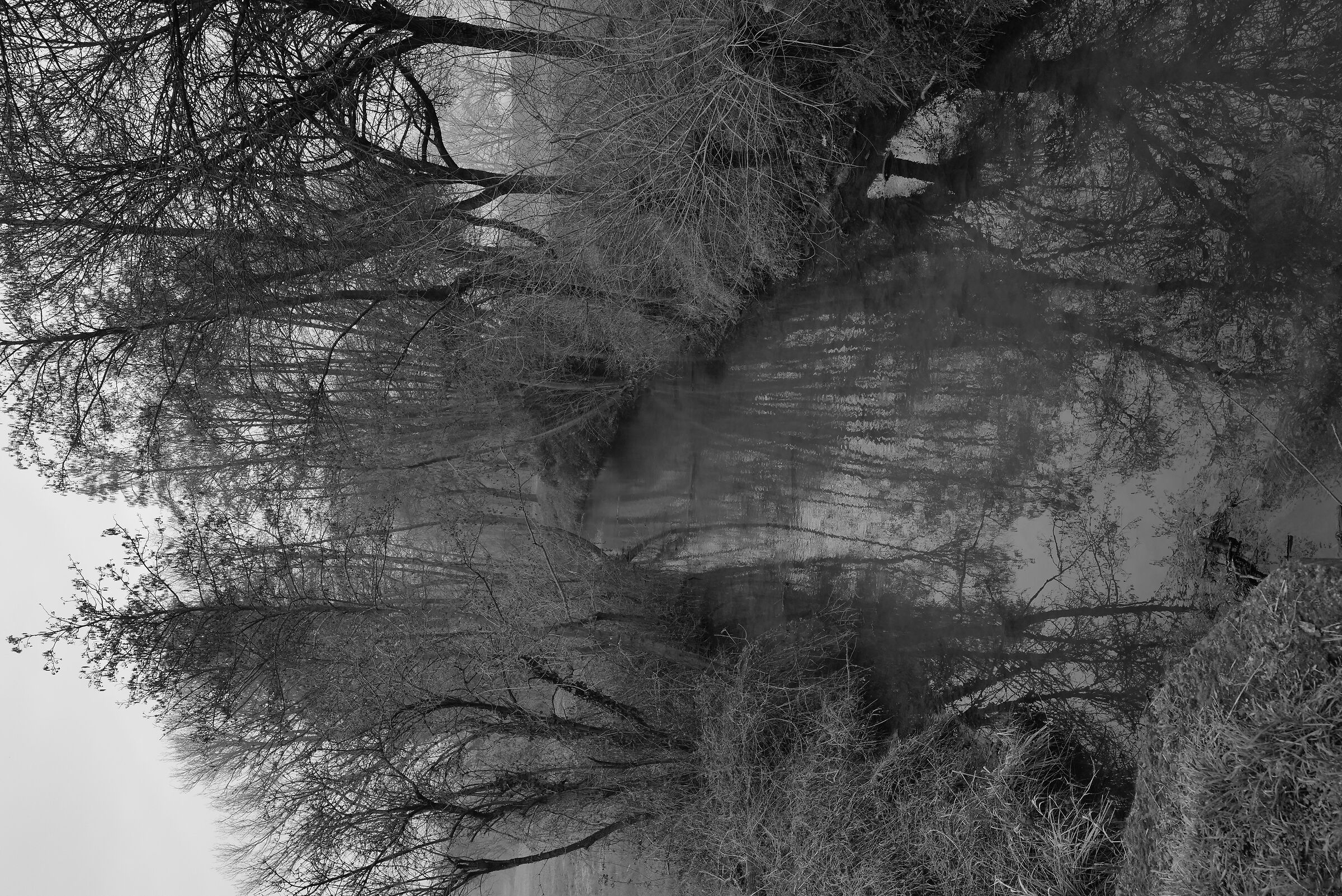 Parco Visconteo, Vernavola