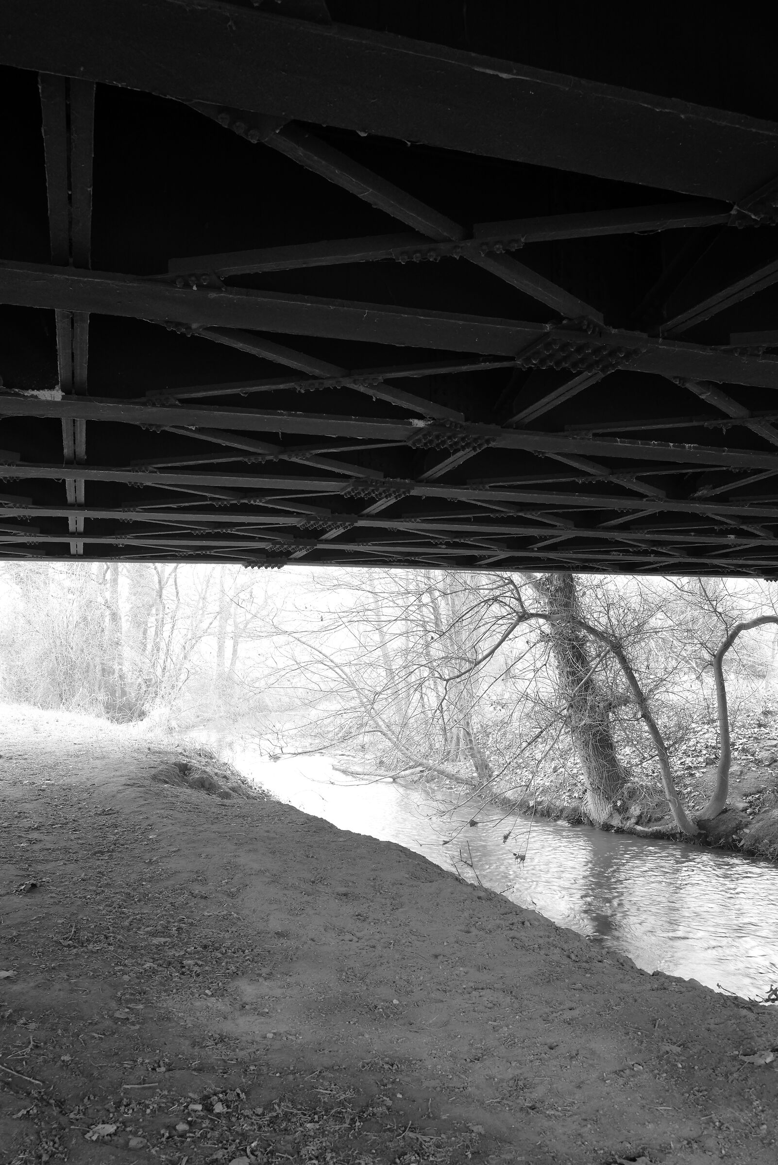 il Parco e la Tangenziale