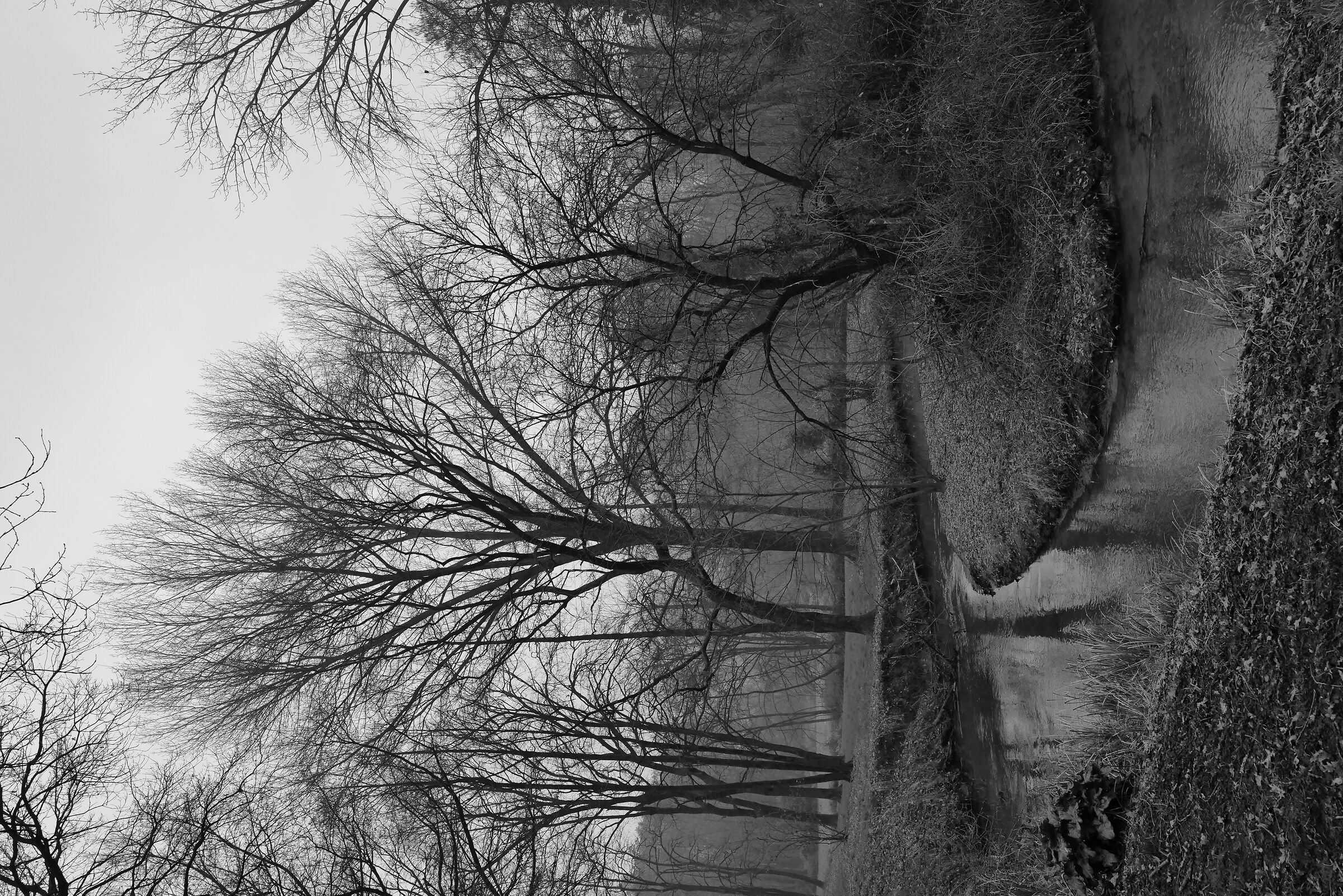 Parco Visconteo, Vernavola