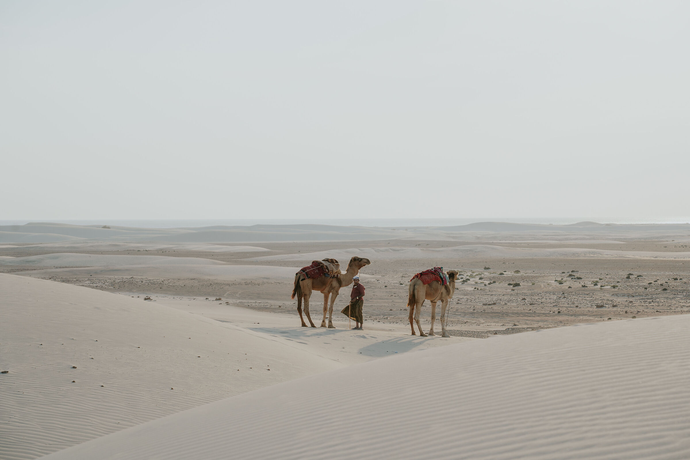 People of Socotra