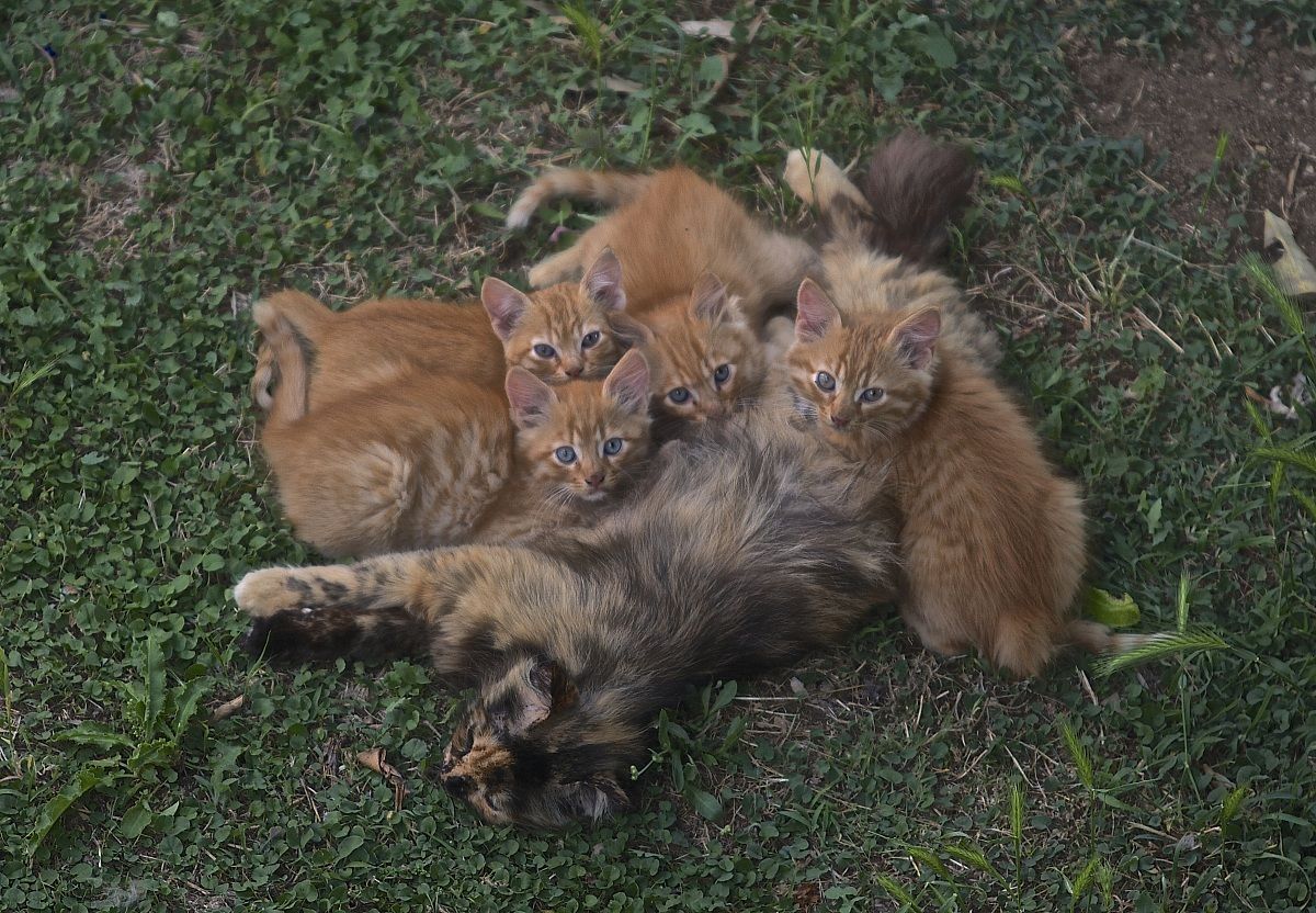 Be che vuoi da noi????