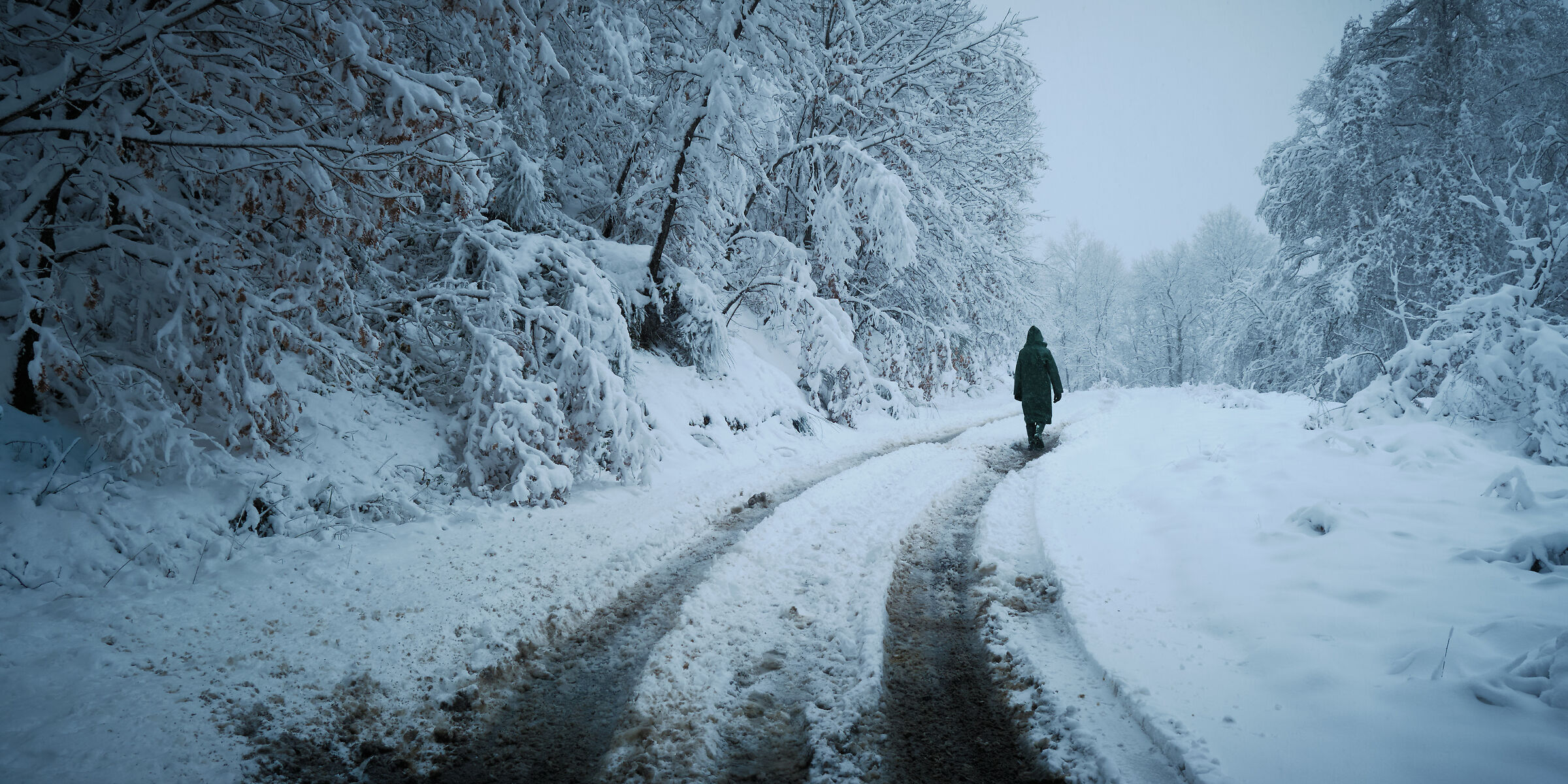 Something in the snow