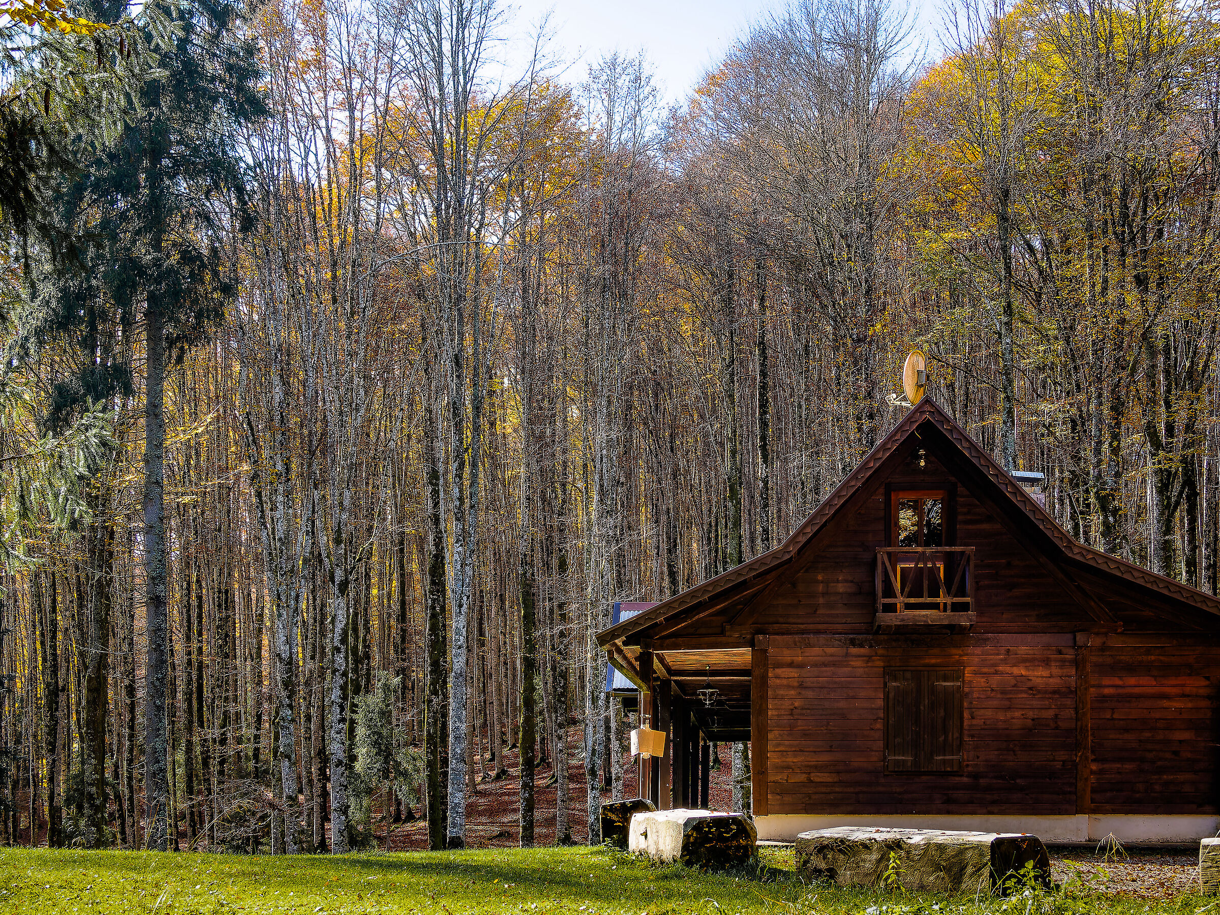 Il bosco delle fate