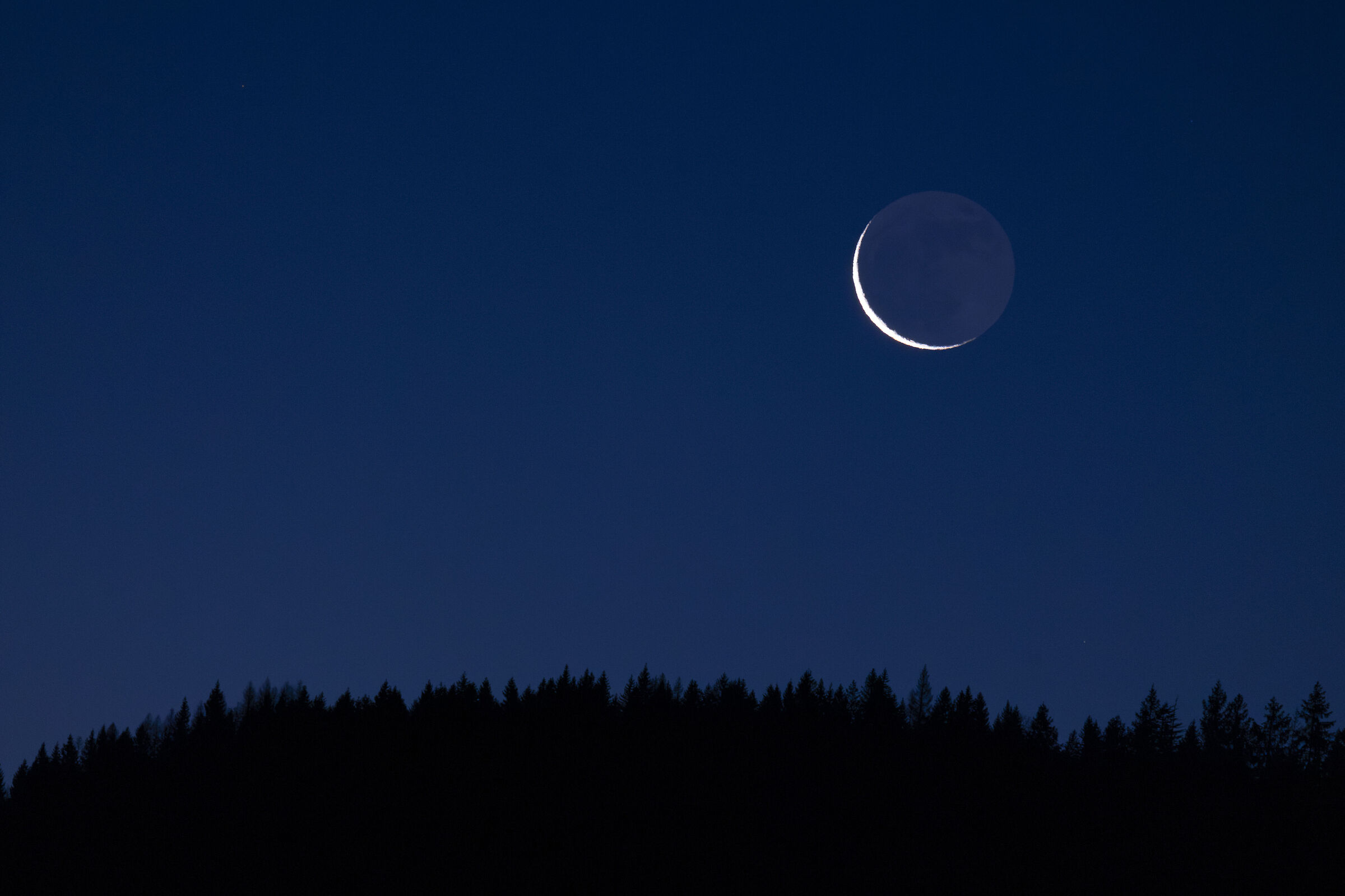Night in the Cimbrian woods
