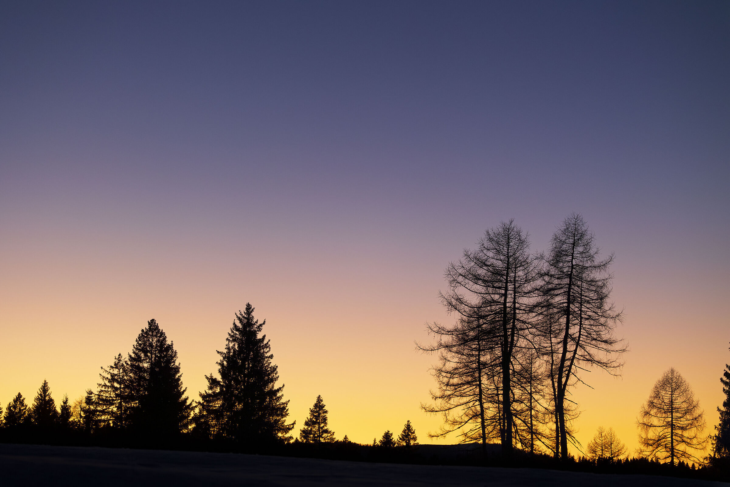 Twilight