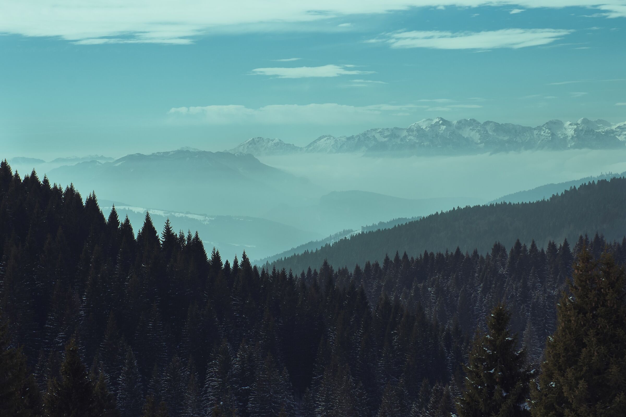 Walking through the Asiago plateau