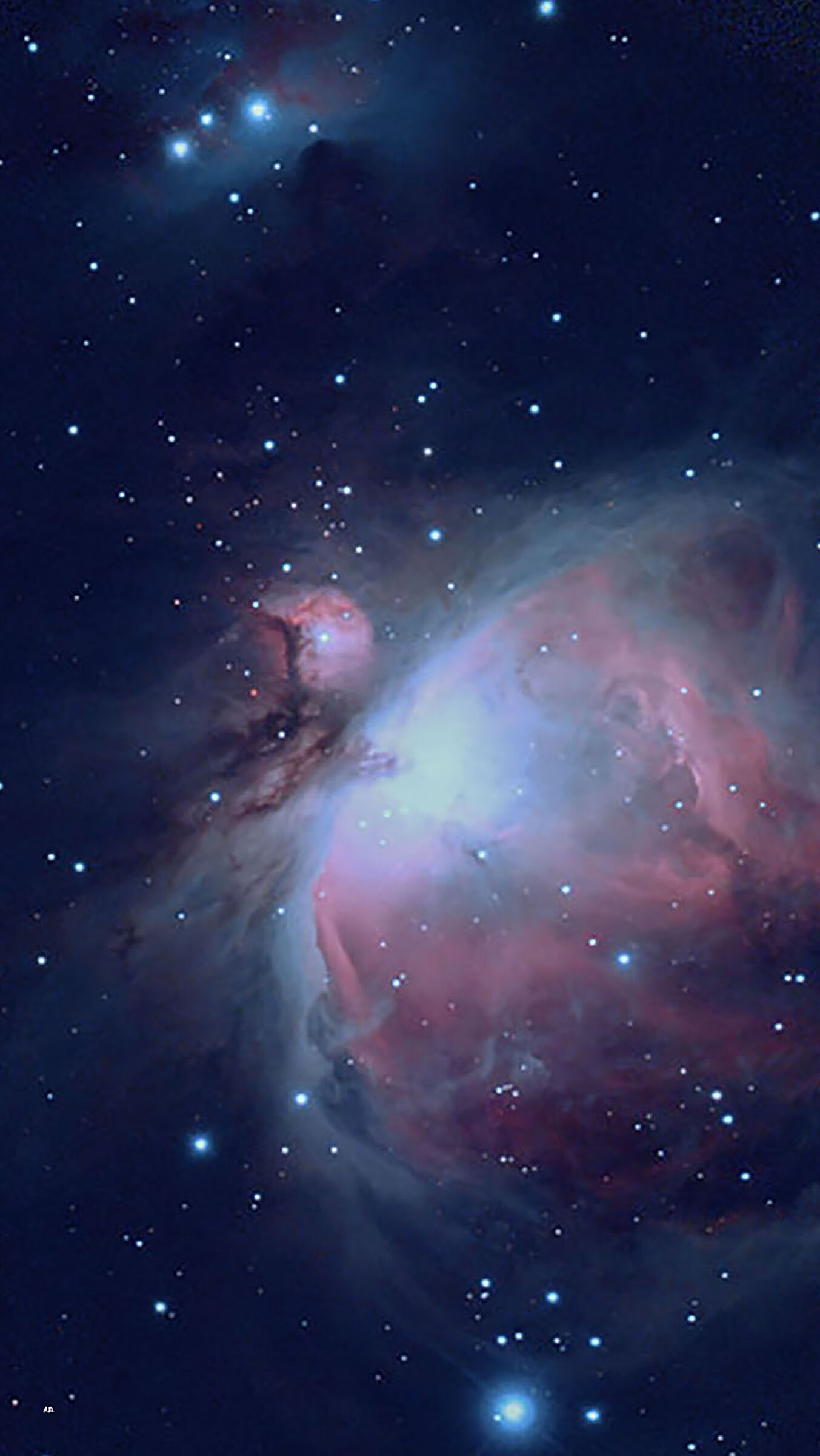 Nebulosa di Orione