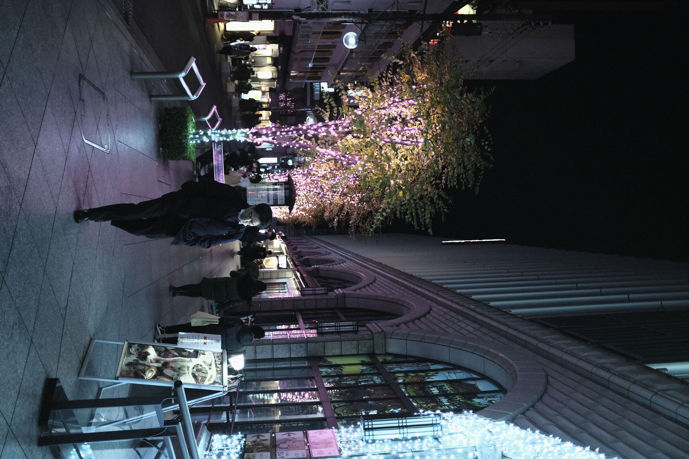 Per le vie di Kyoto