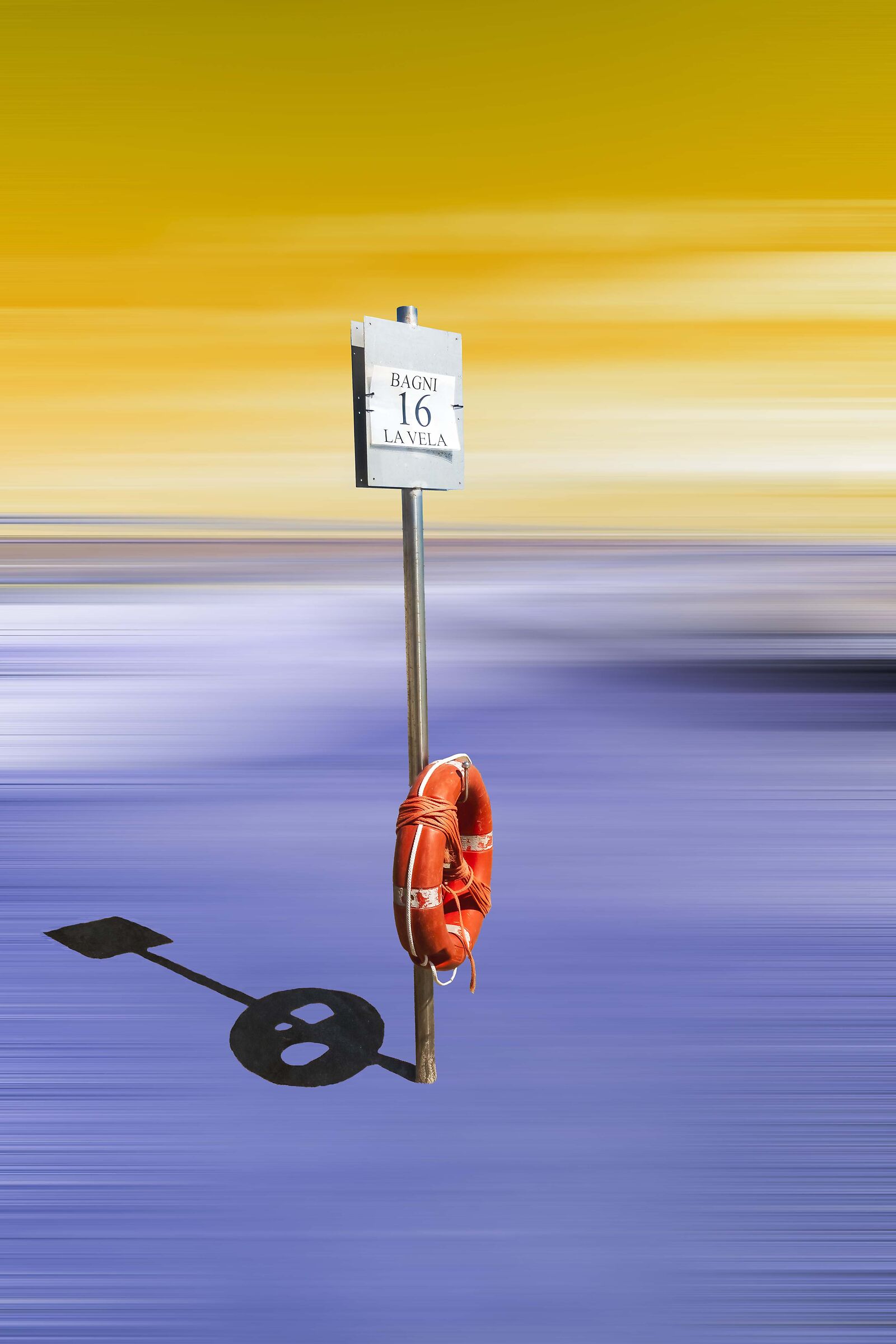 The lifebuoy