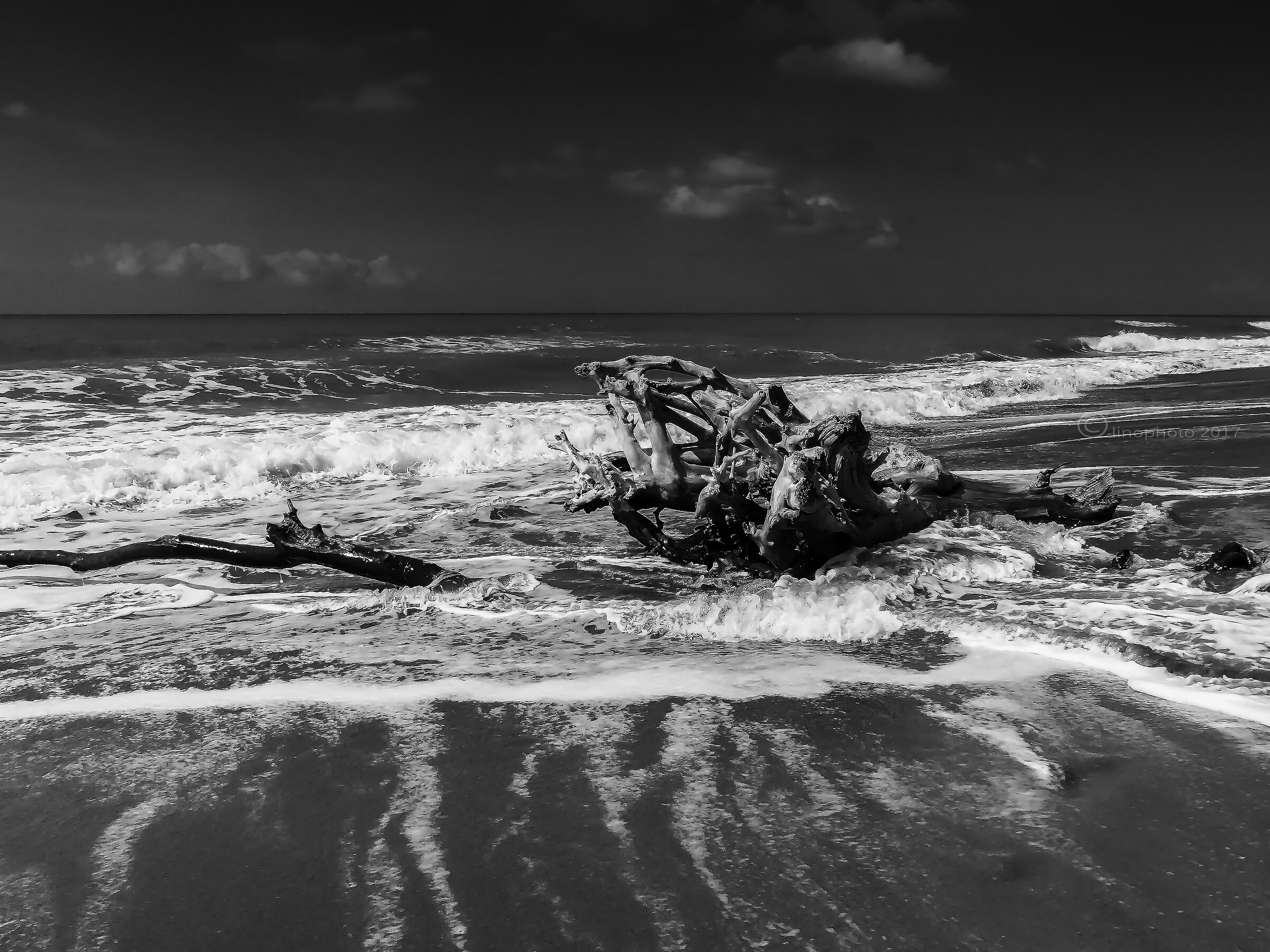 Winter sea - Marina di Alberese Maremma Park