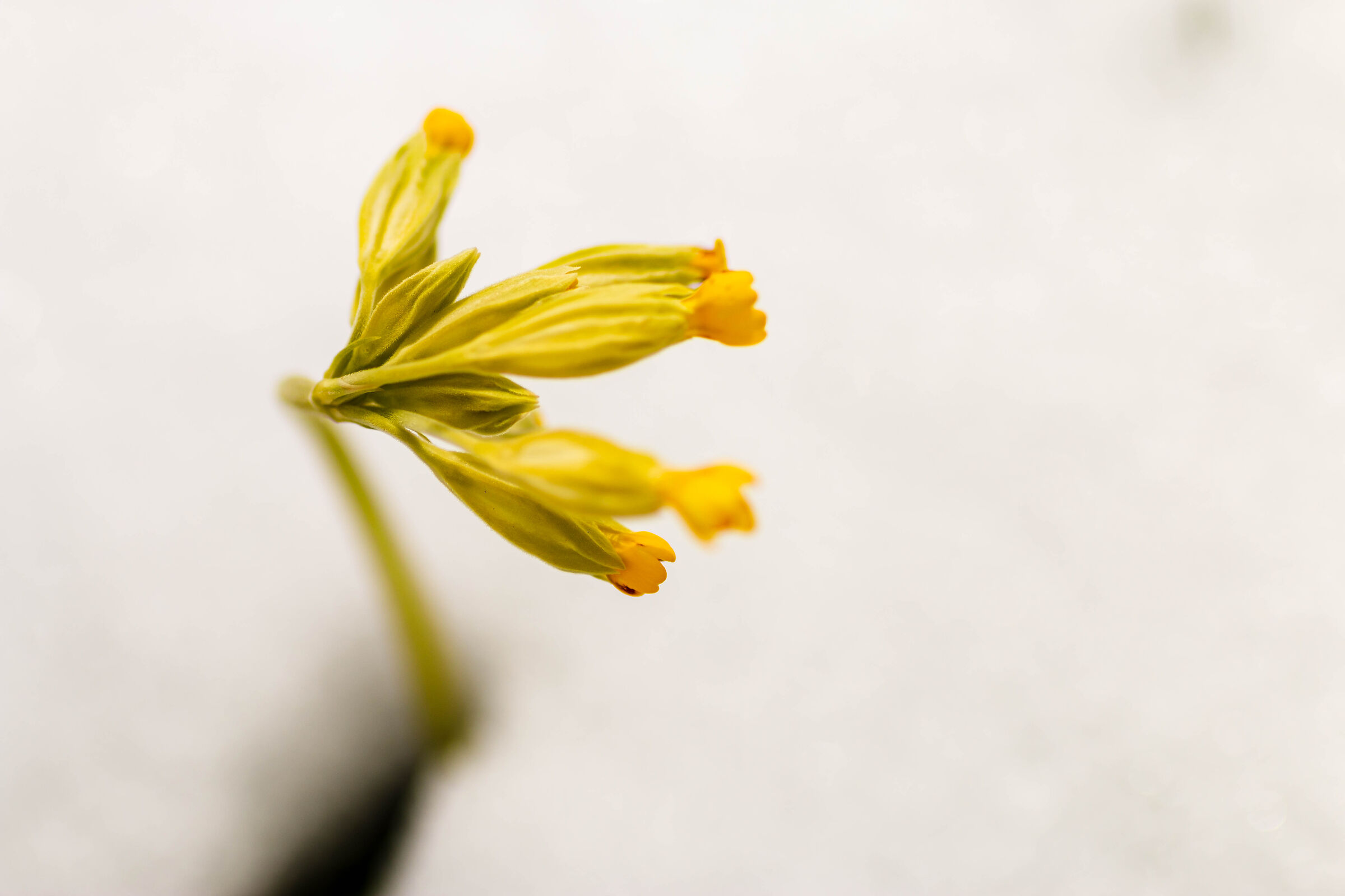 Untitled Photo