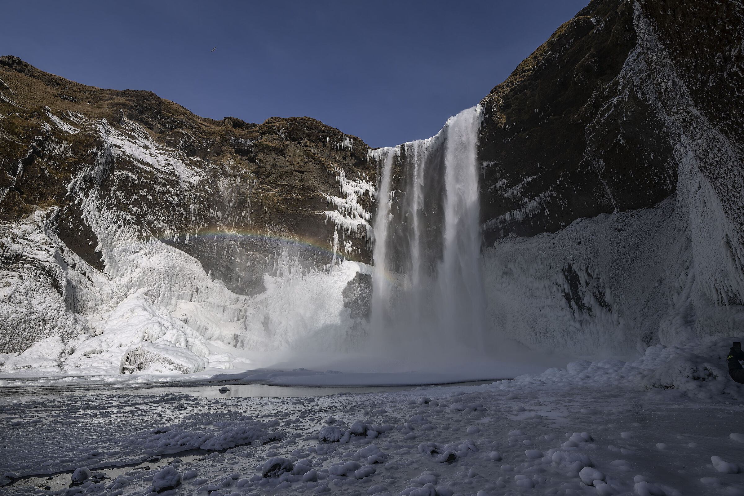 Skogafoss - Iceland