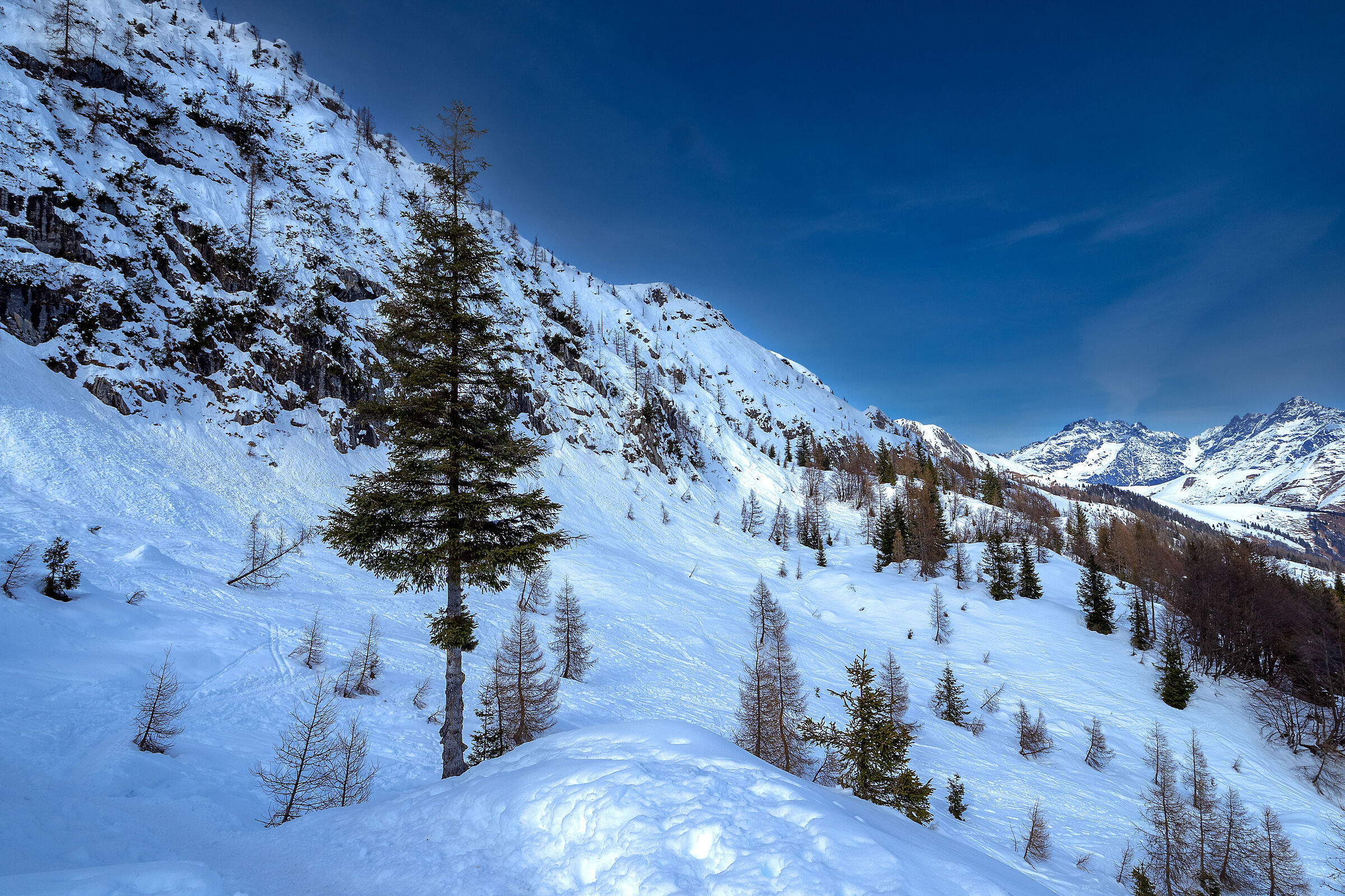 Towards the Albani Refuge