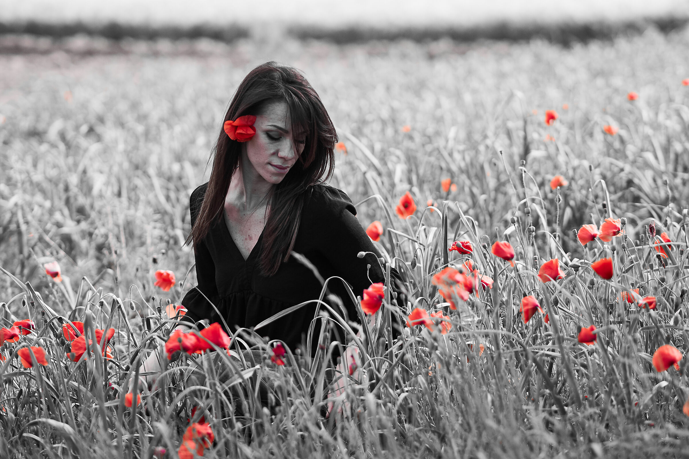 PamPaveri redbw version