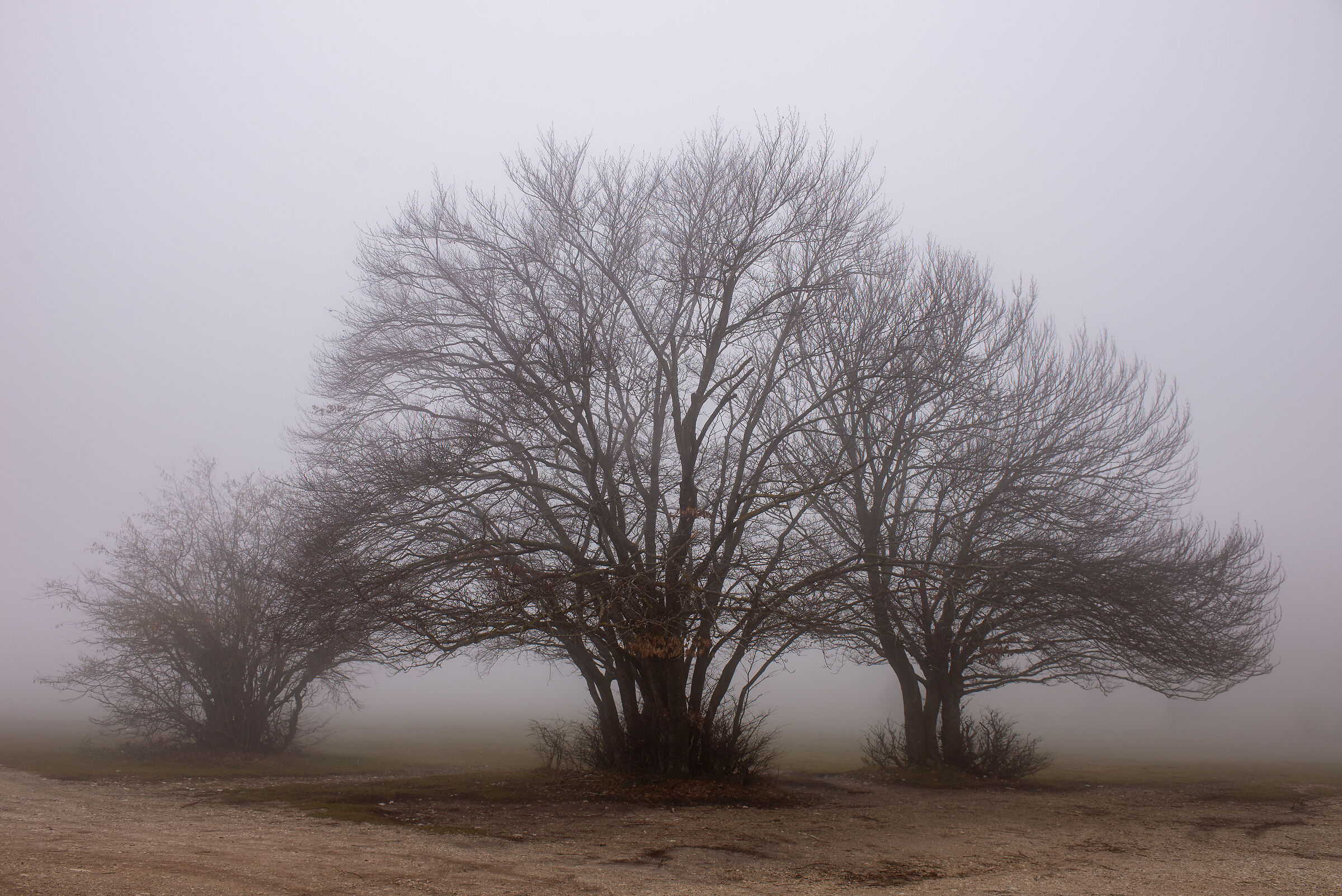 Canfaito d'inverno
