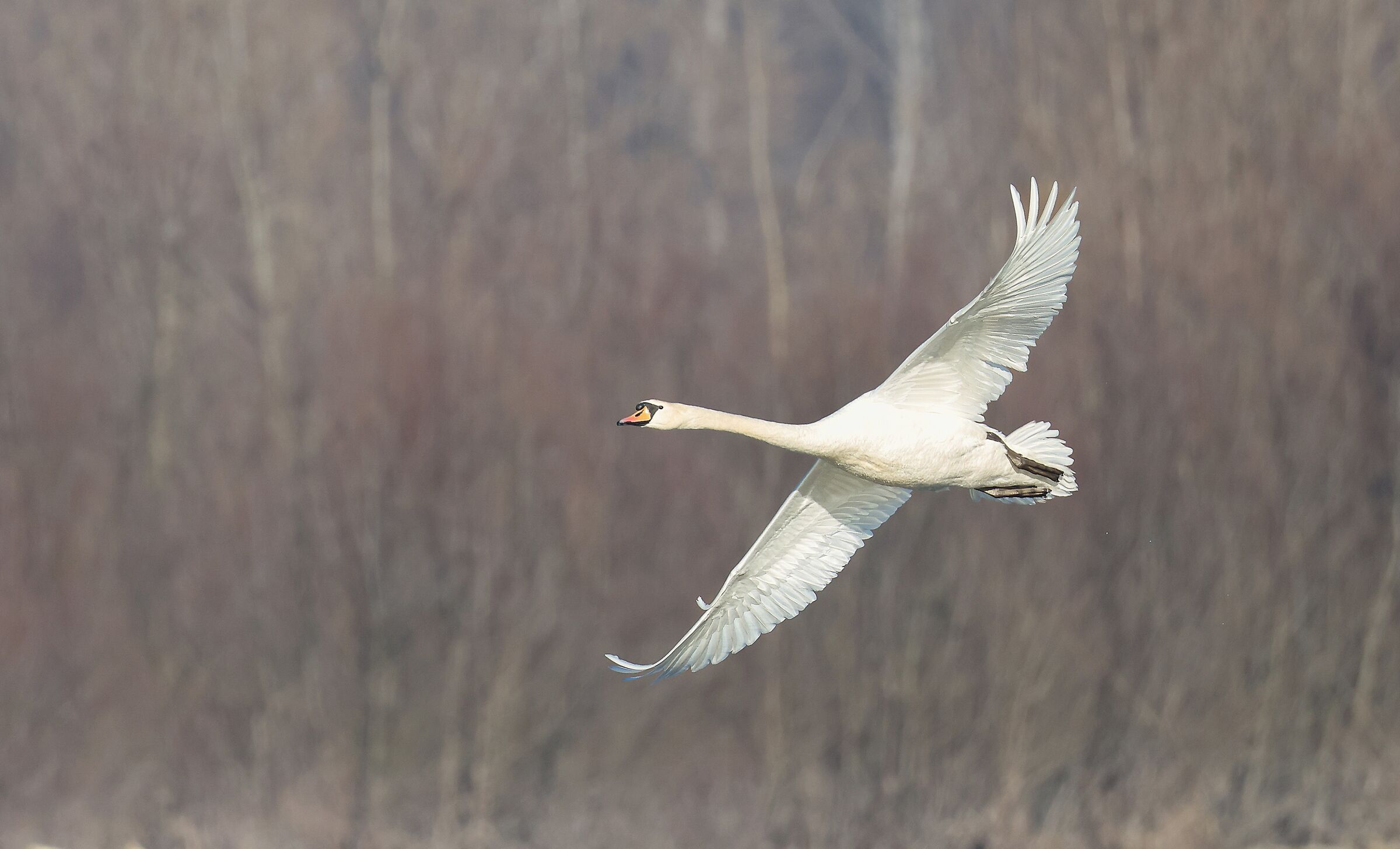 Flying is Like Drinking