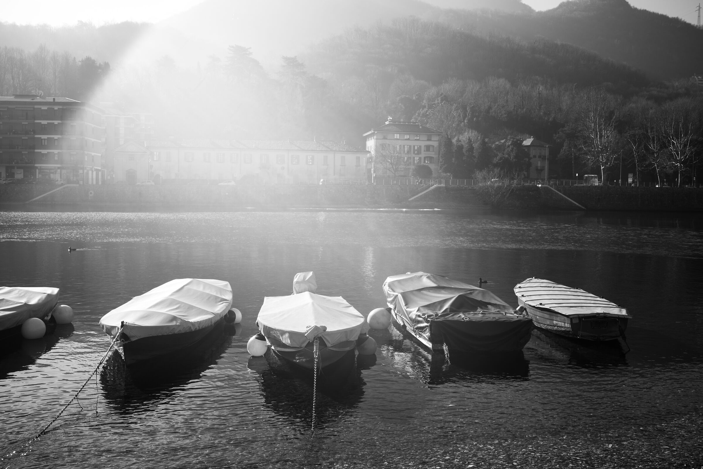 Lecco