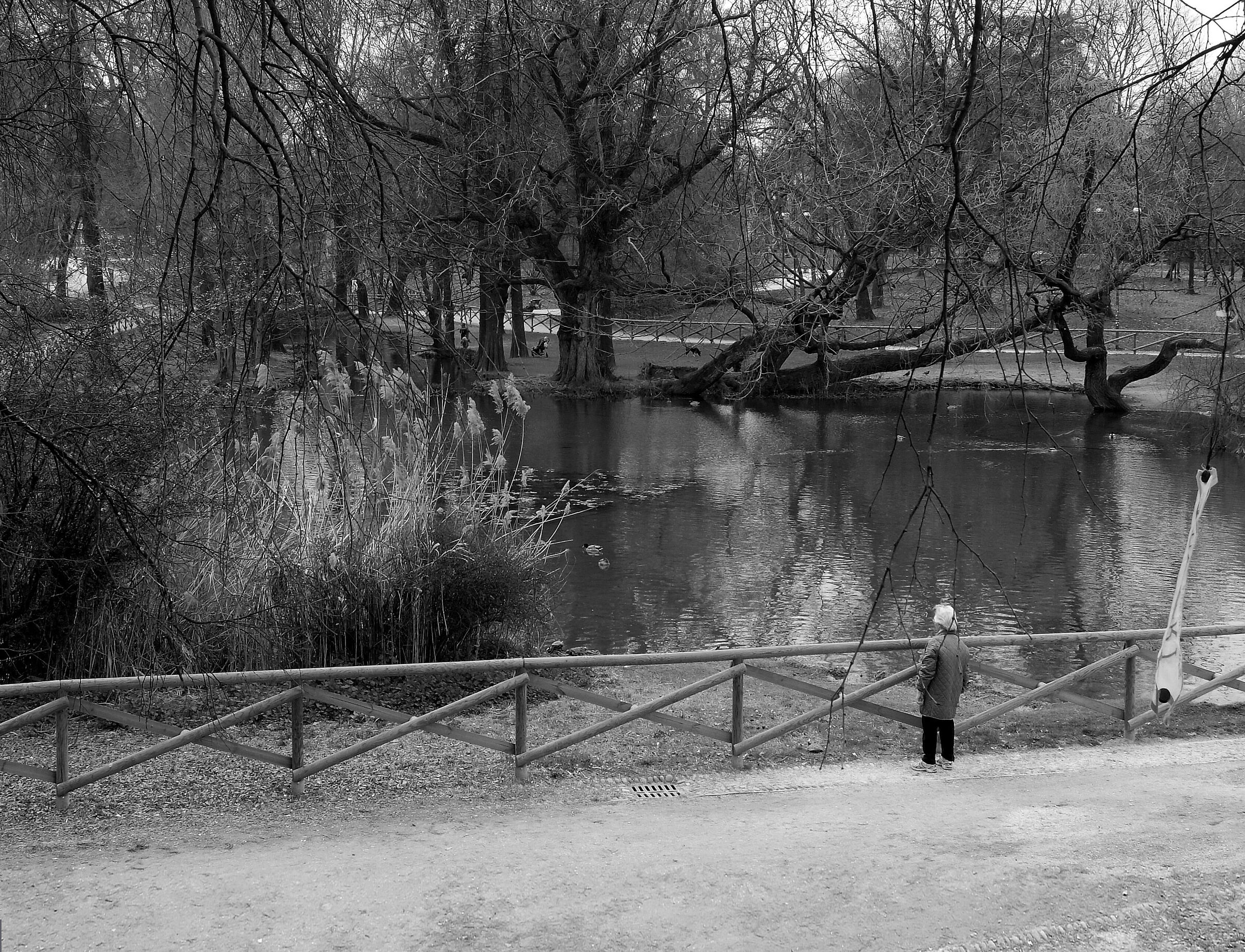 passeggiata al parco Sempione