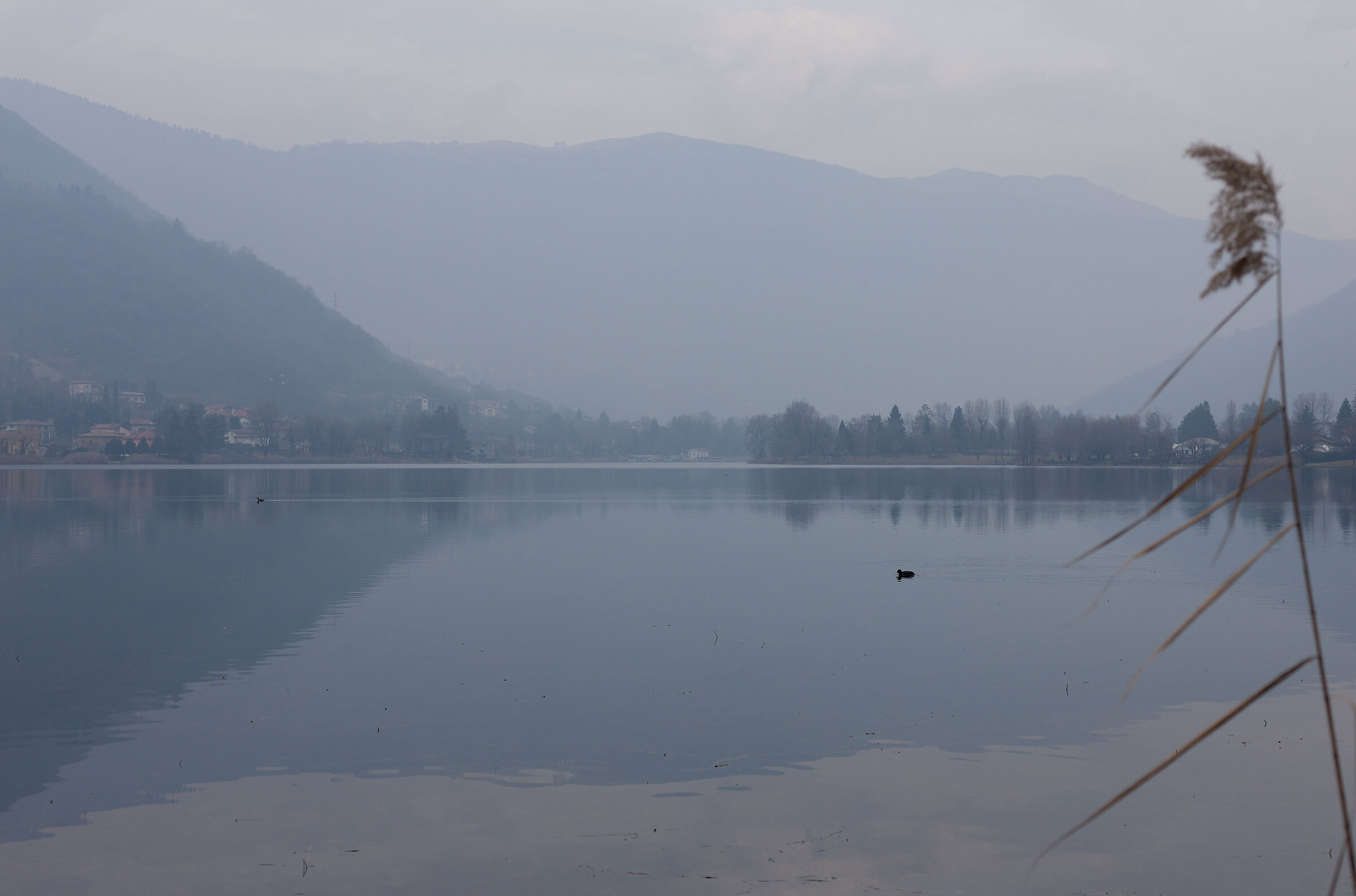 Untitled Photo