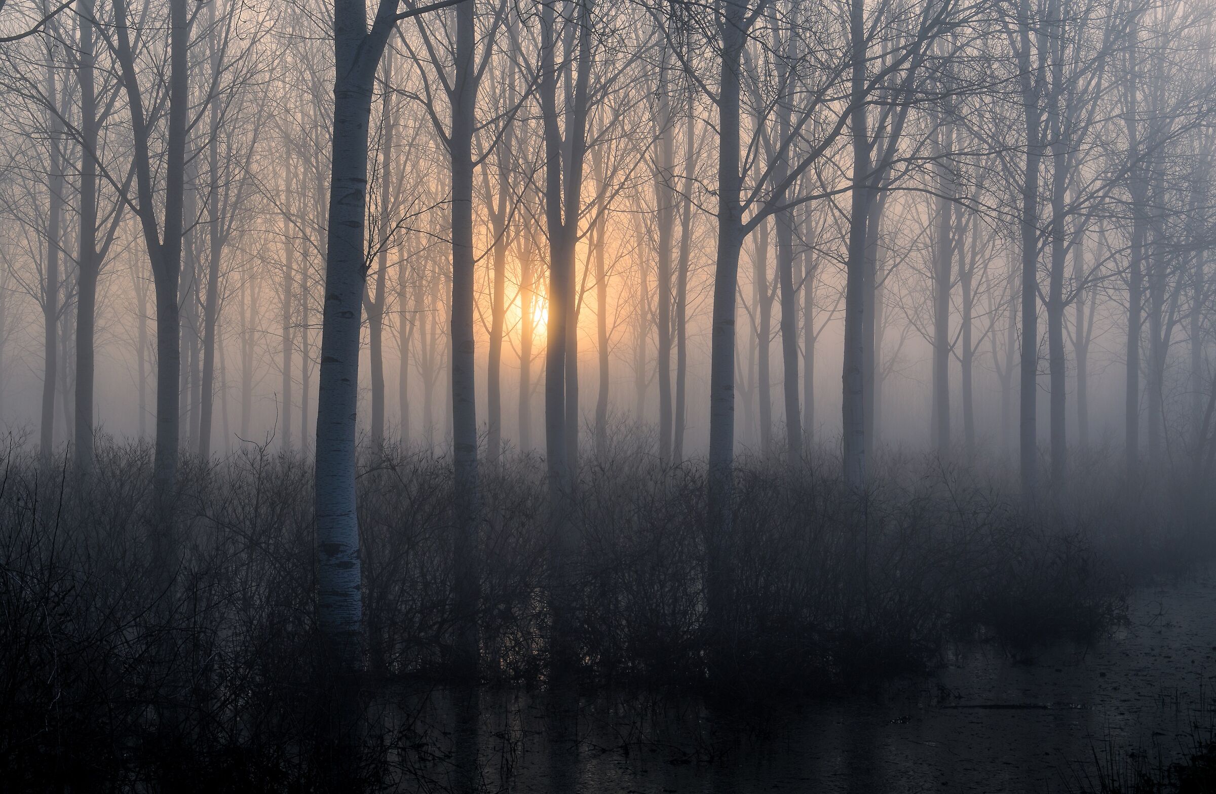 Sunrise in the Marshes....