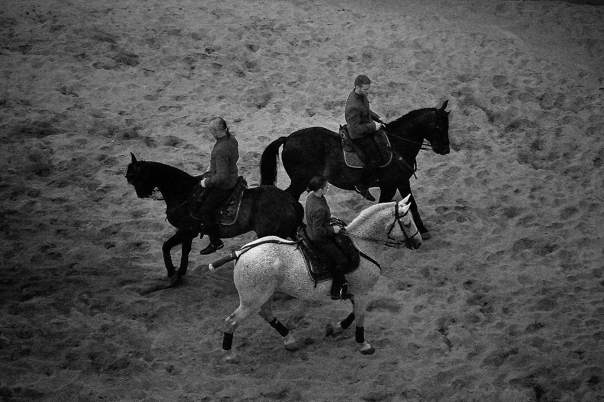 In the directions of feelings