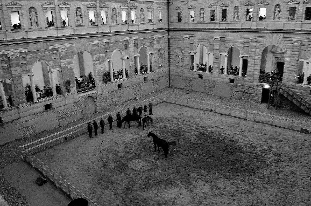 Array of men and horses