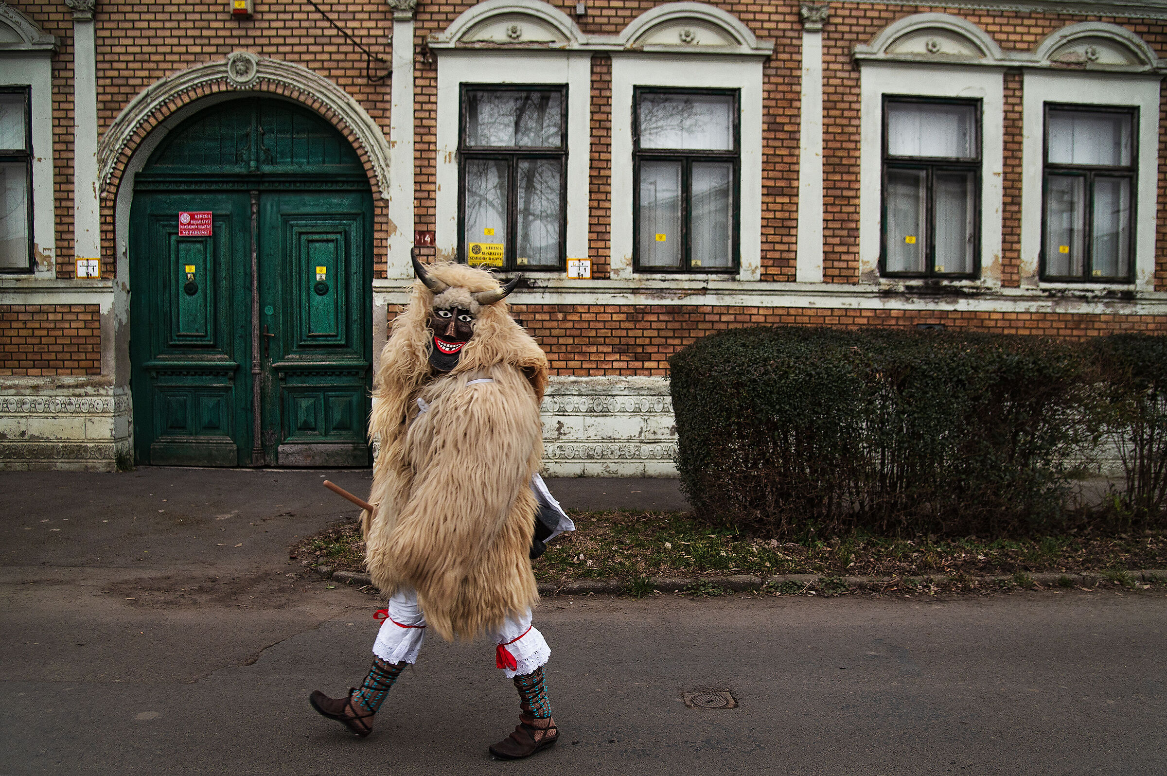 Mohácsi Busójárás