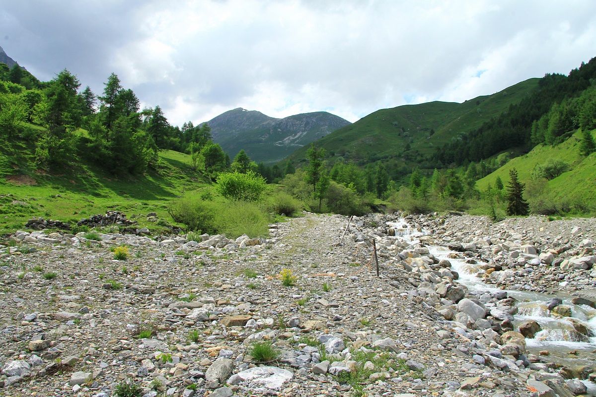 Demonte - Vallone dell'Arma (cn) Italy / 1