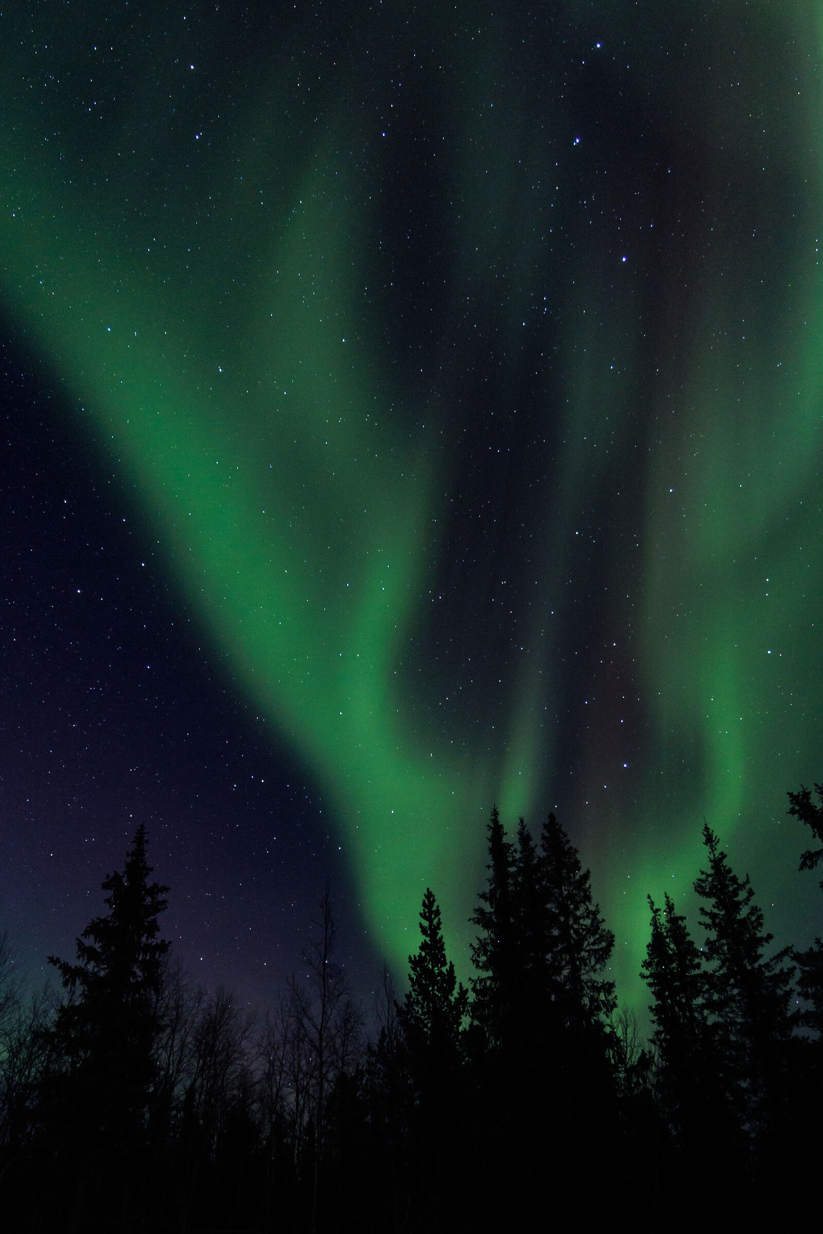 Aurora borealis