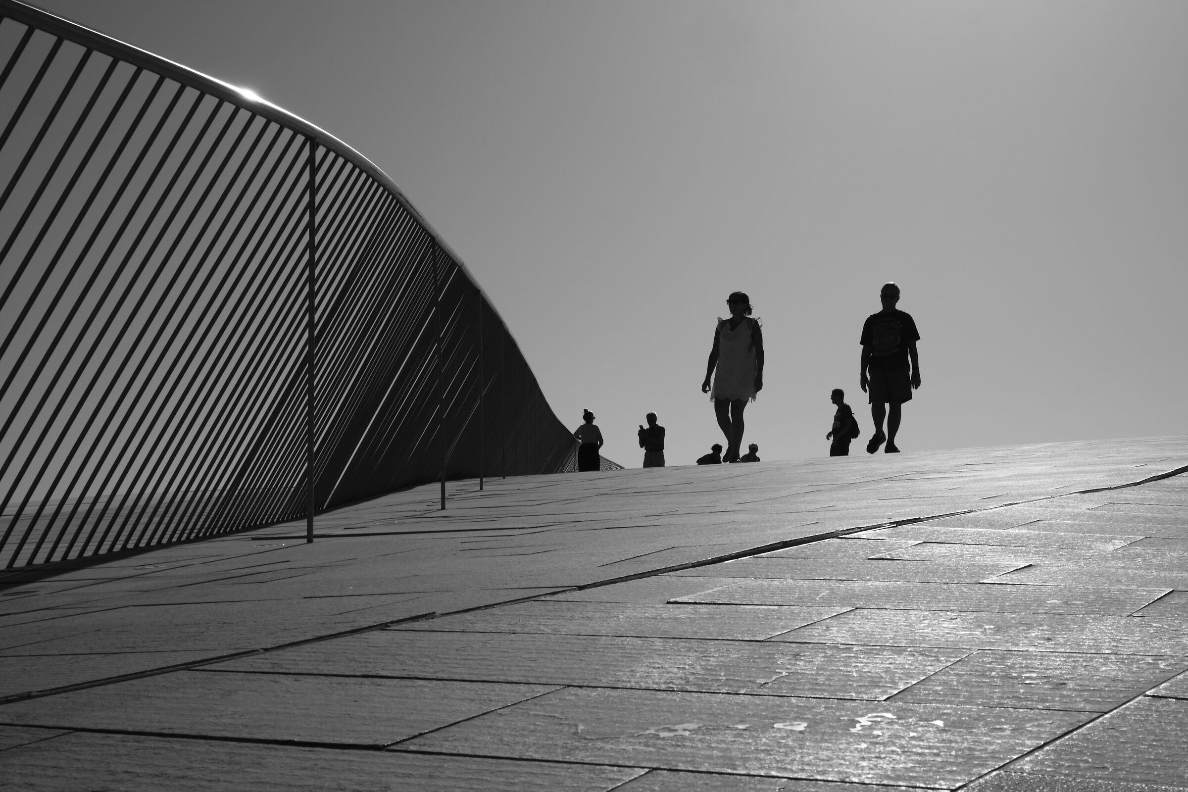 Silhouettando sul "MAAT"