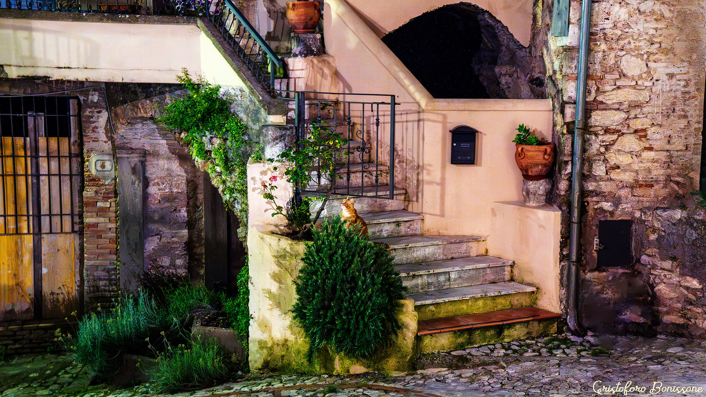 Uno sguardo alla Luna