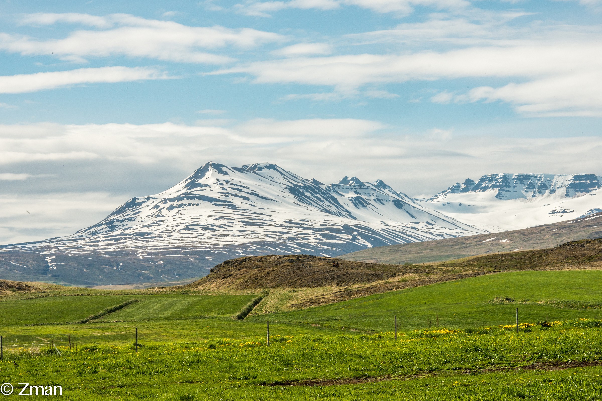 Verdi, Bianchi e Blues