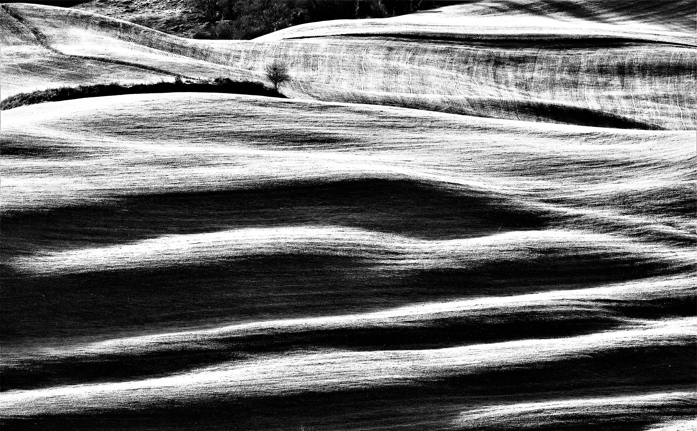 Paesaggio collinare (VT)