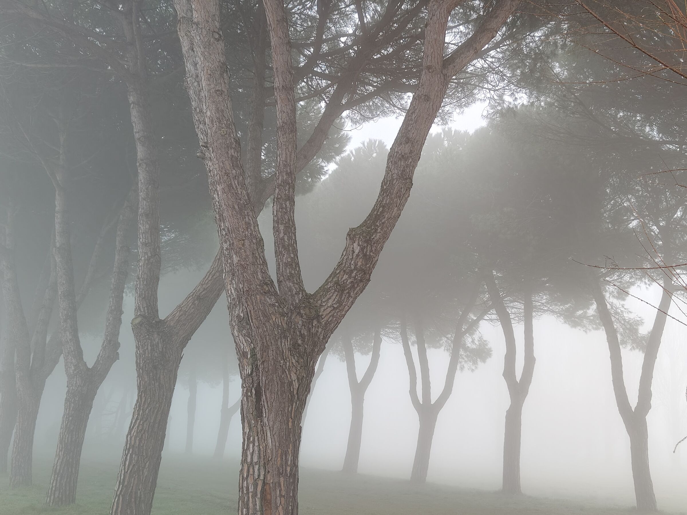 L'ombelico del mondo