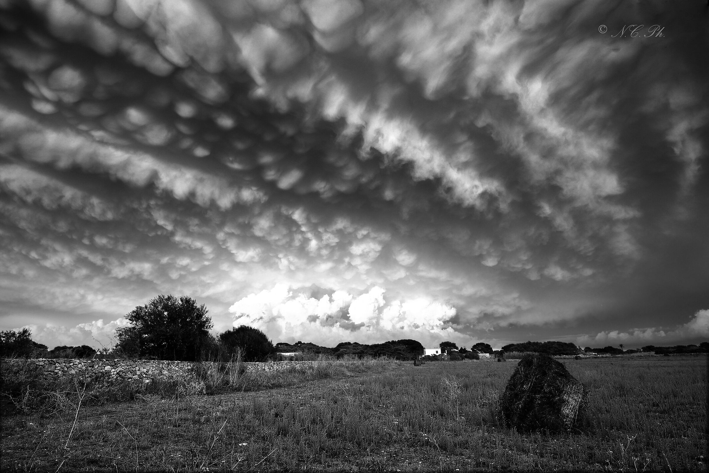 Mammatus revised in b/w