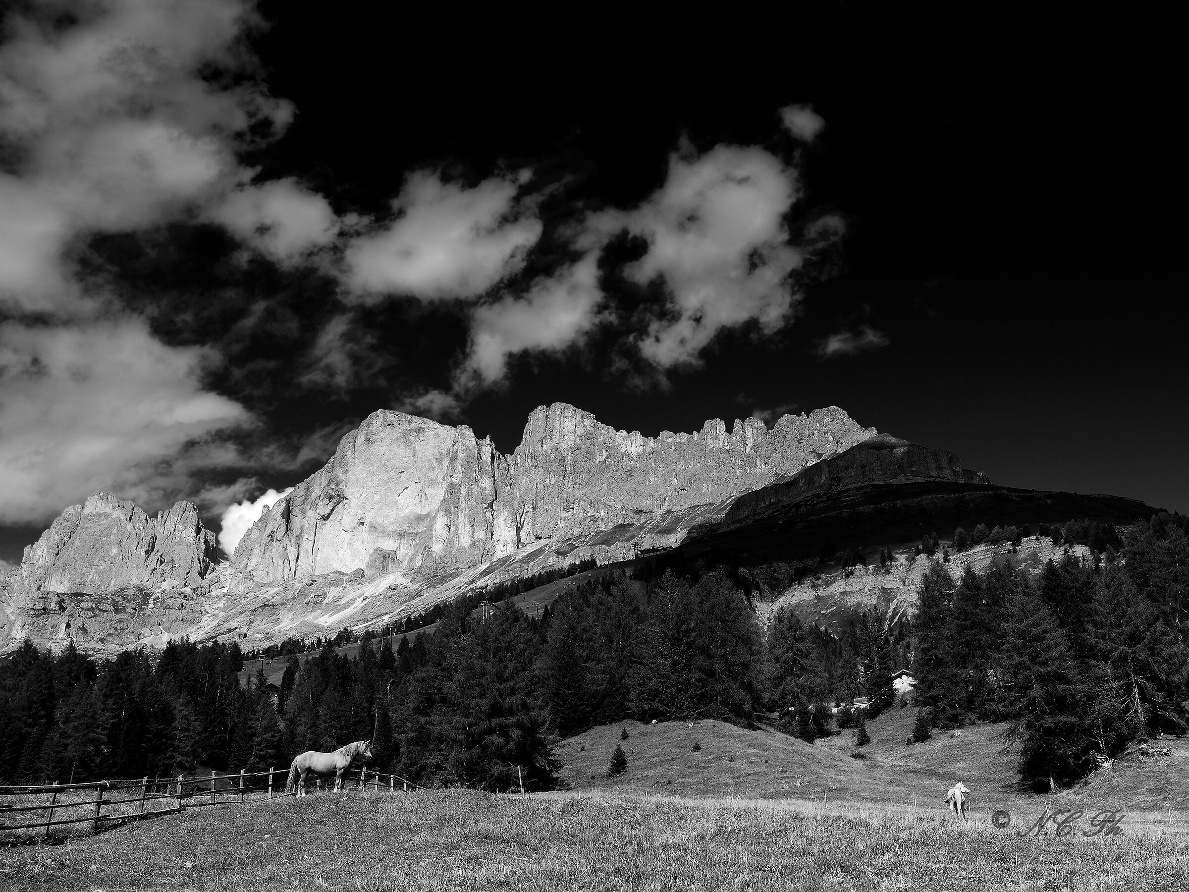 Catinaccio Group seen from the village of Carezza