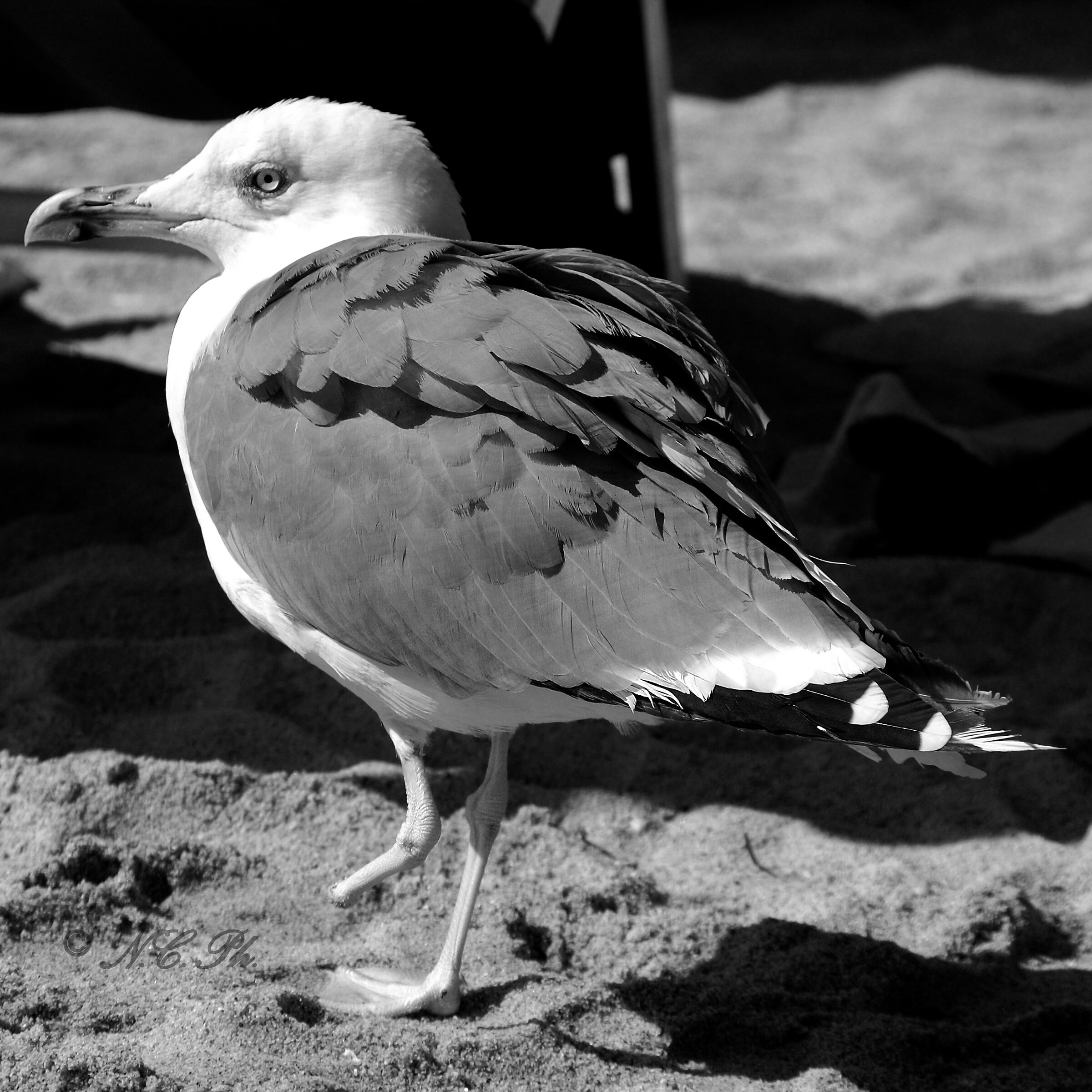 The strength to live