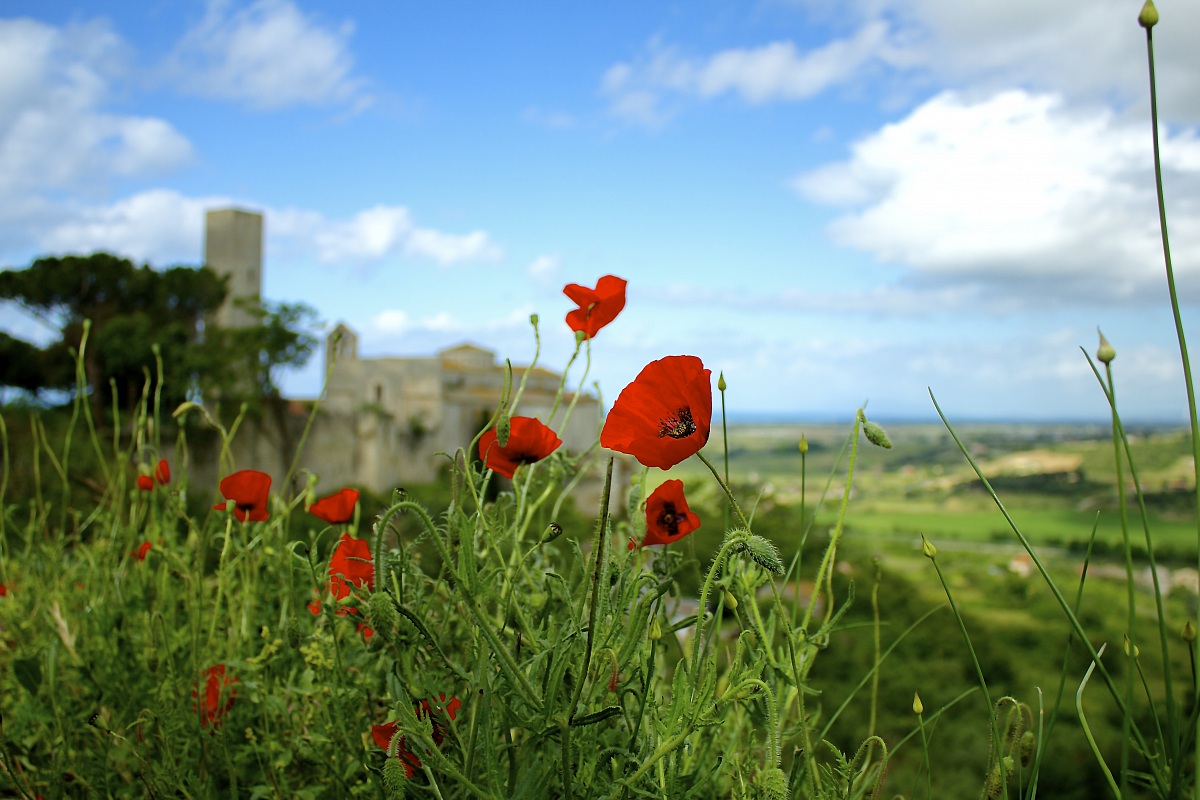 Fairy tales in the shots