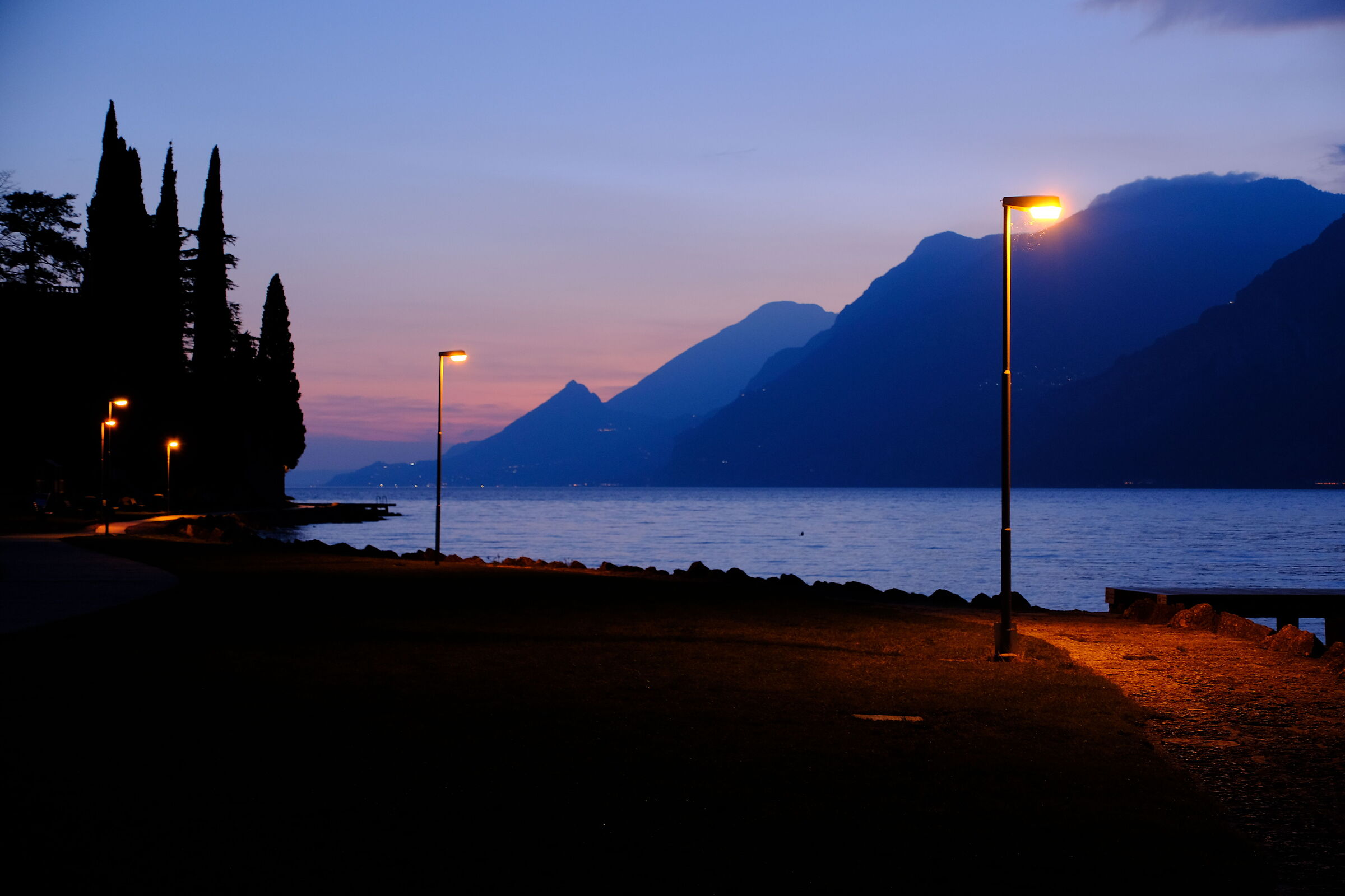 Untitled Photo