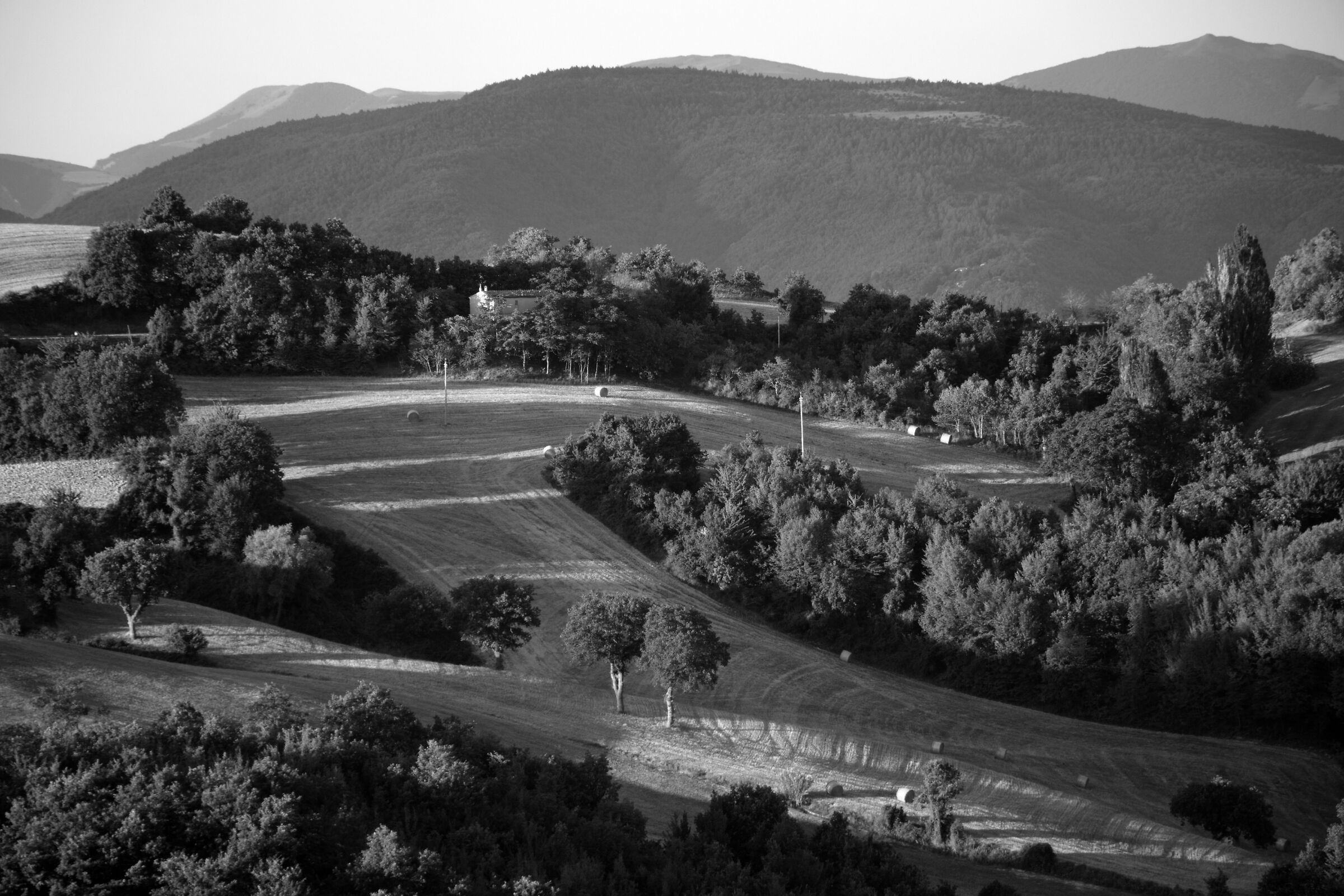 campagna marchigiana 01