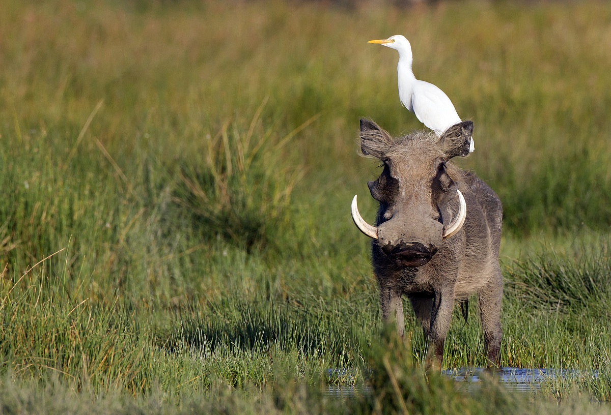 Passaggio e colazione