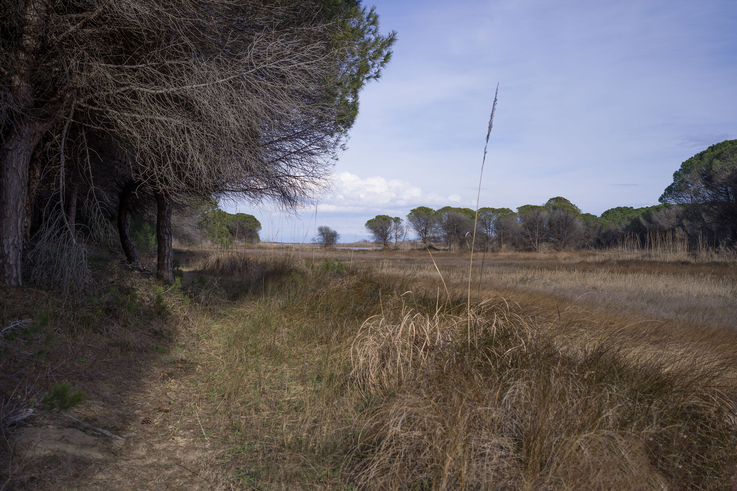 Untitled Photo