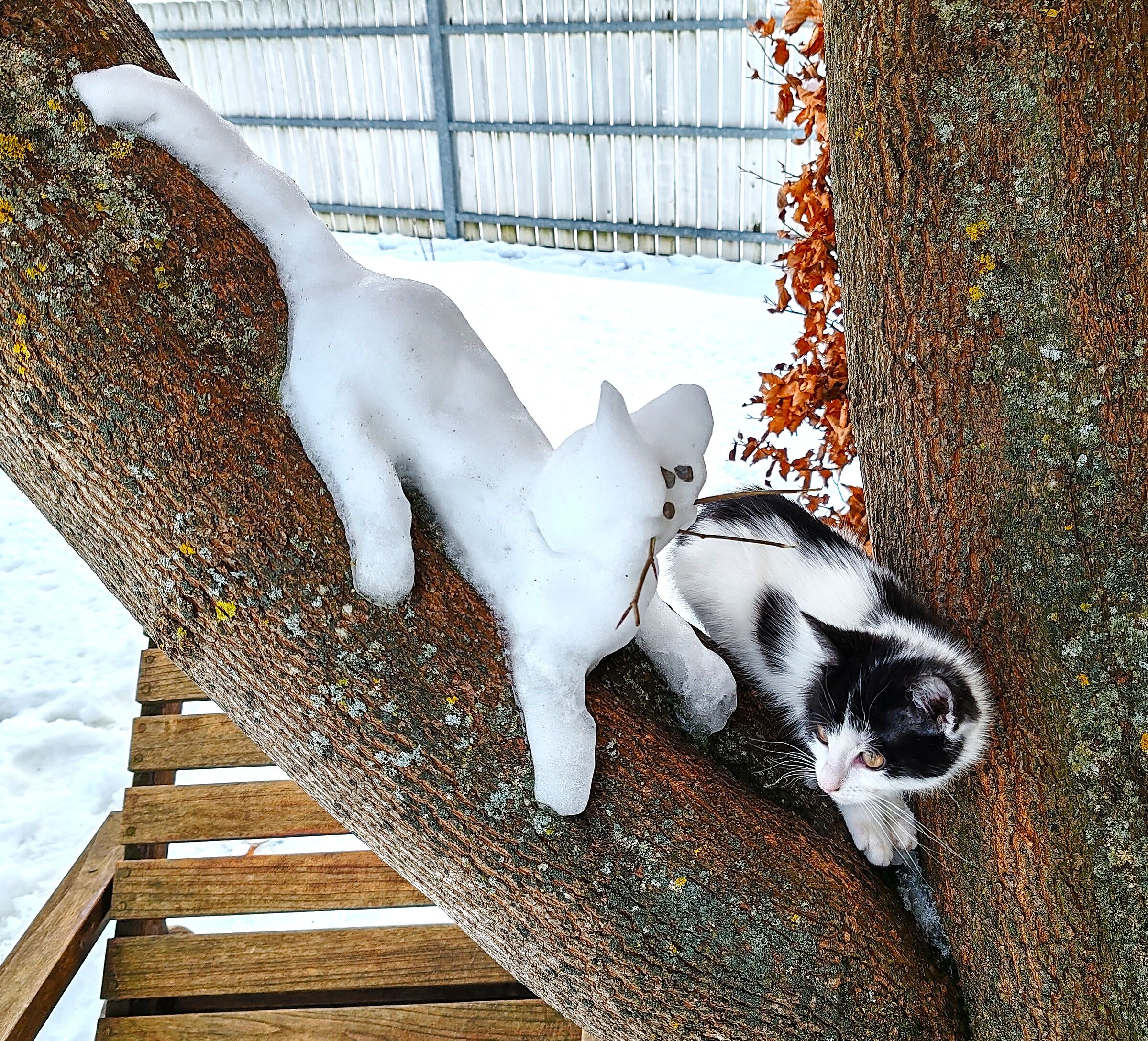 Crumb model for a day.