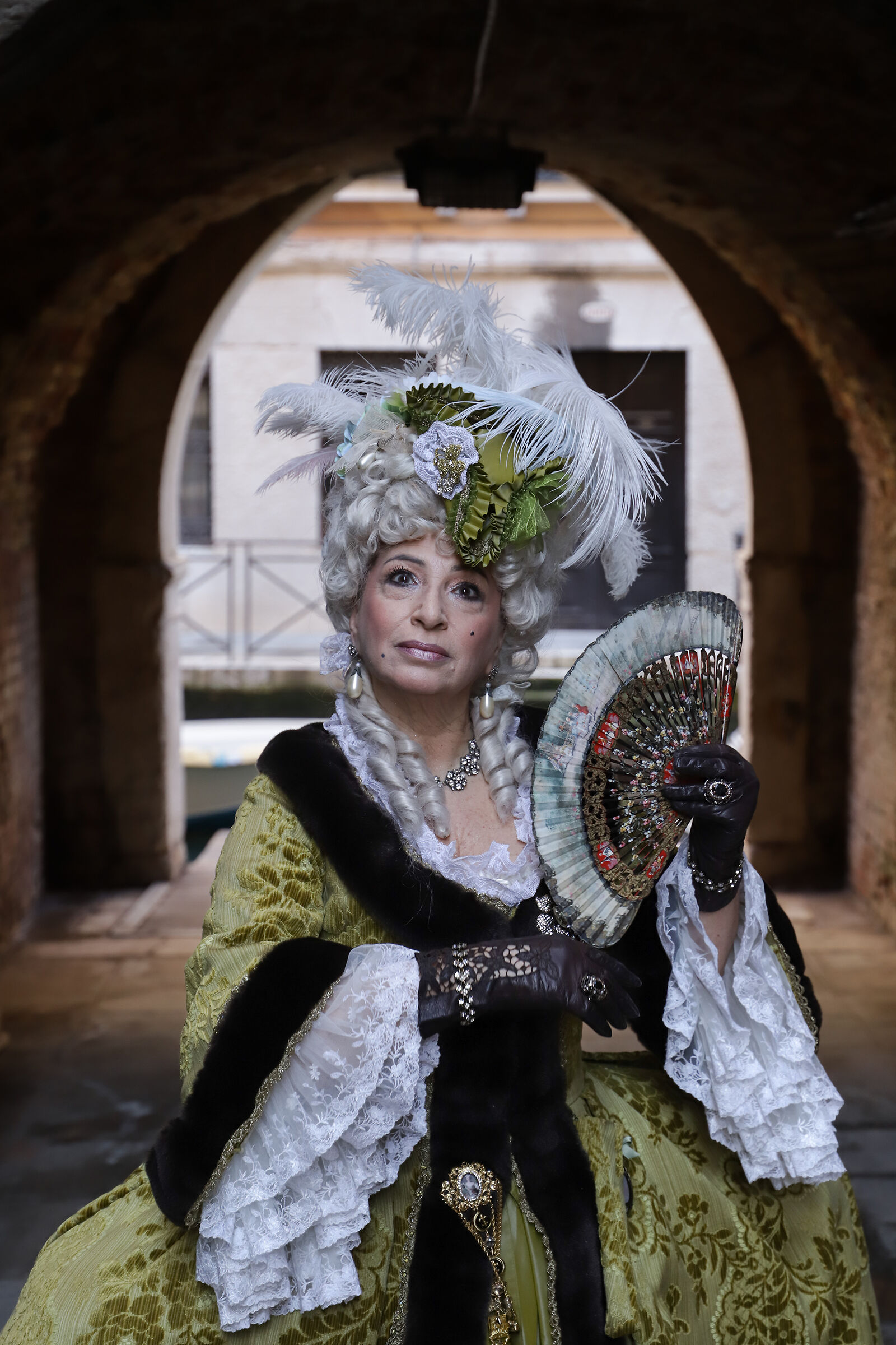 Portrait of a Lady
