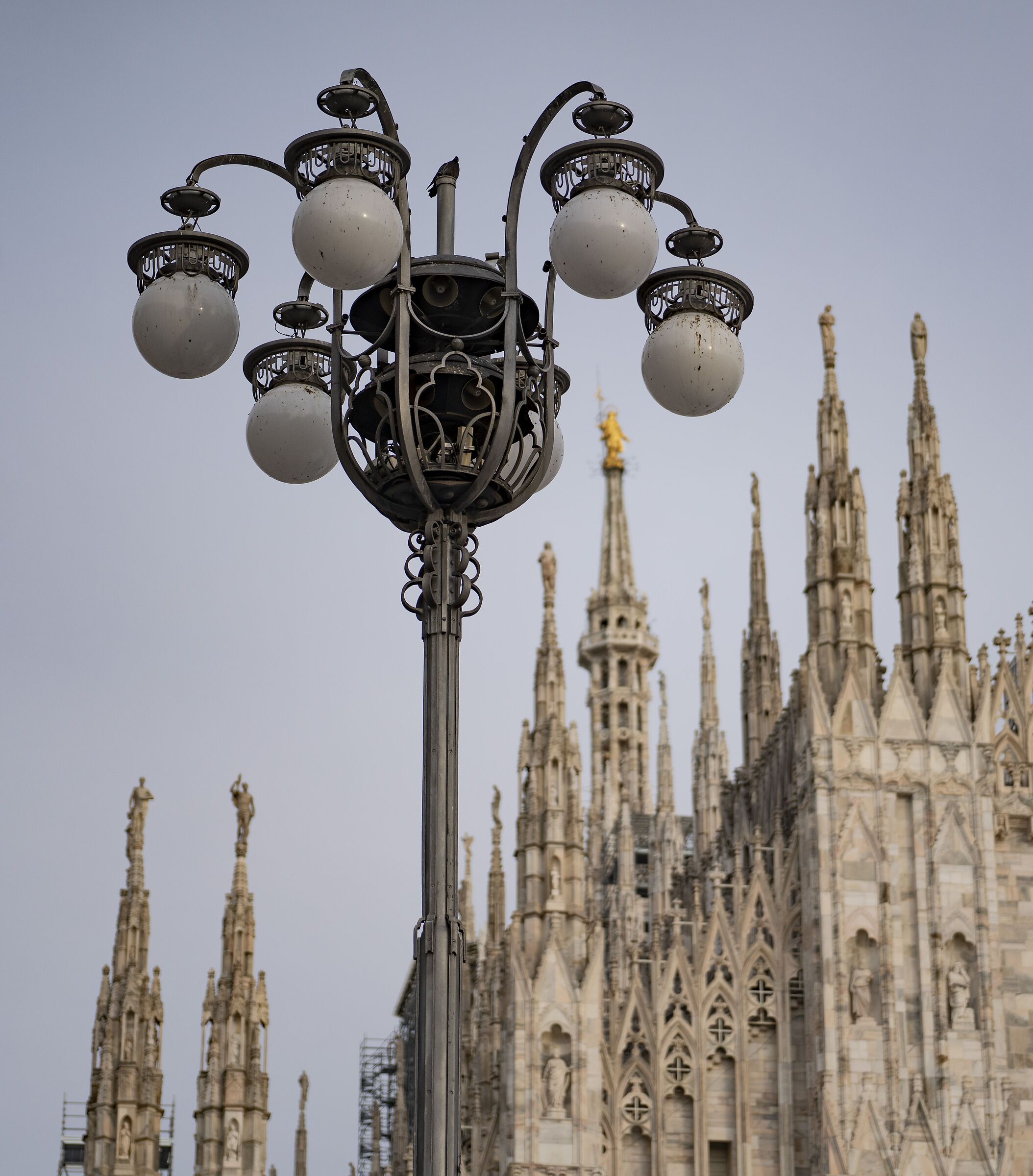 Mercoledì 26 febbraio 2025, 16.37