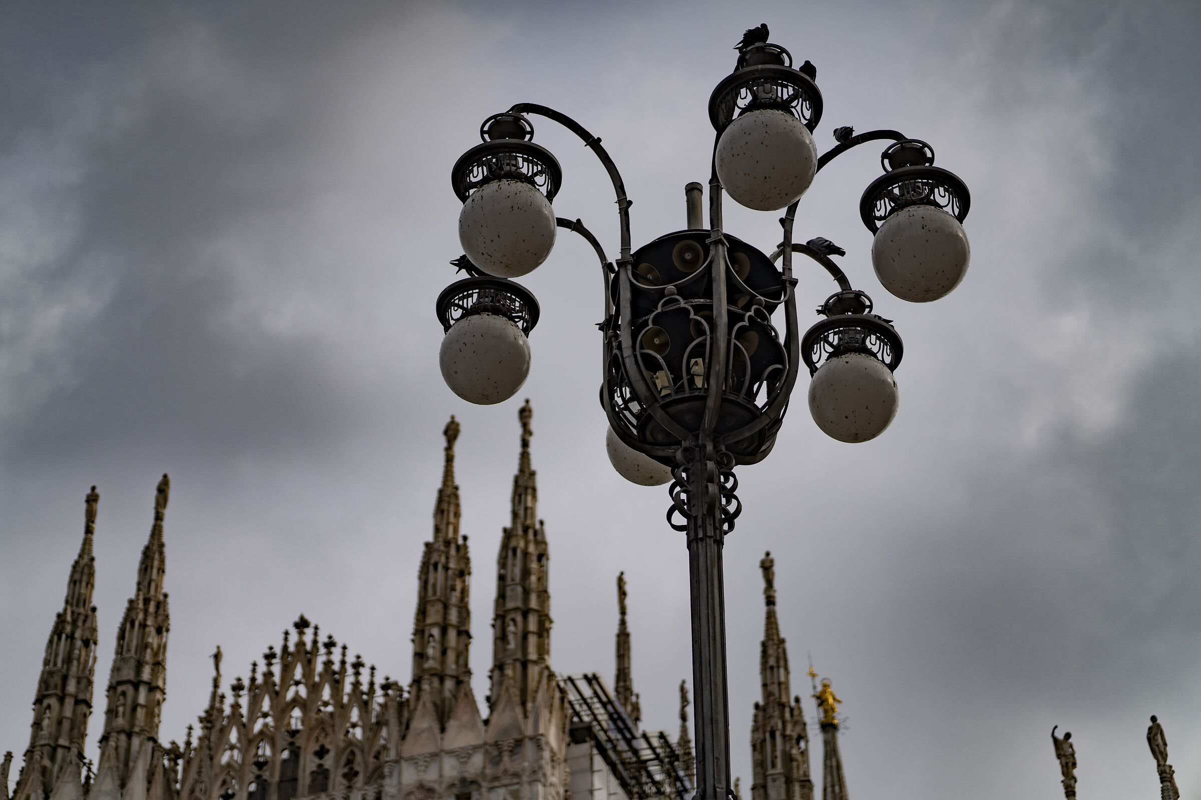 Mercoledì 26 febbraio 2025, 11:08