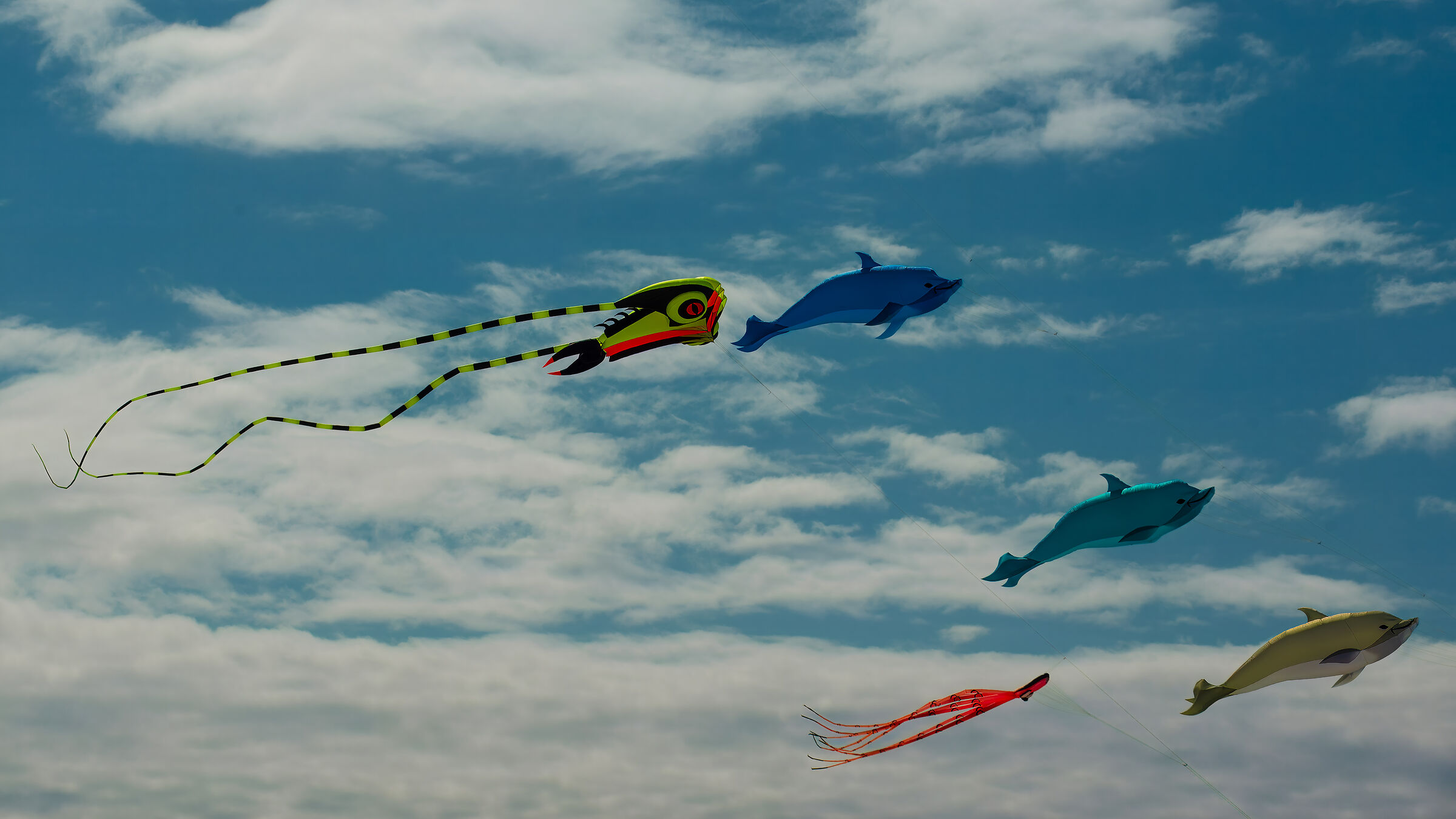 Kites on a danish beach II