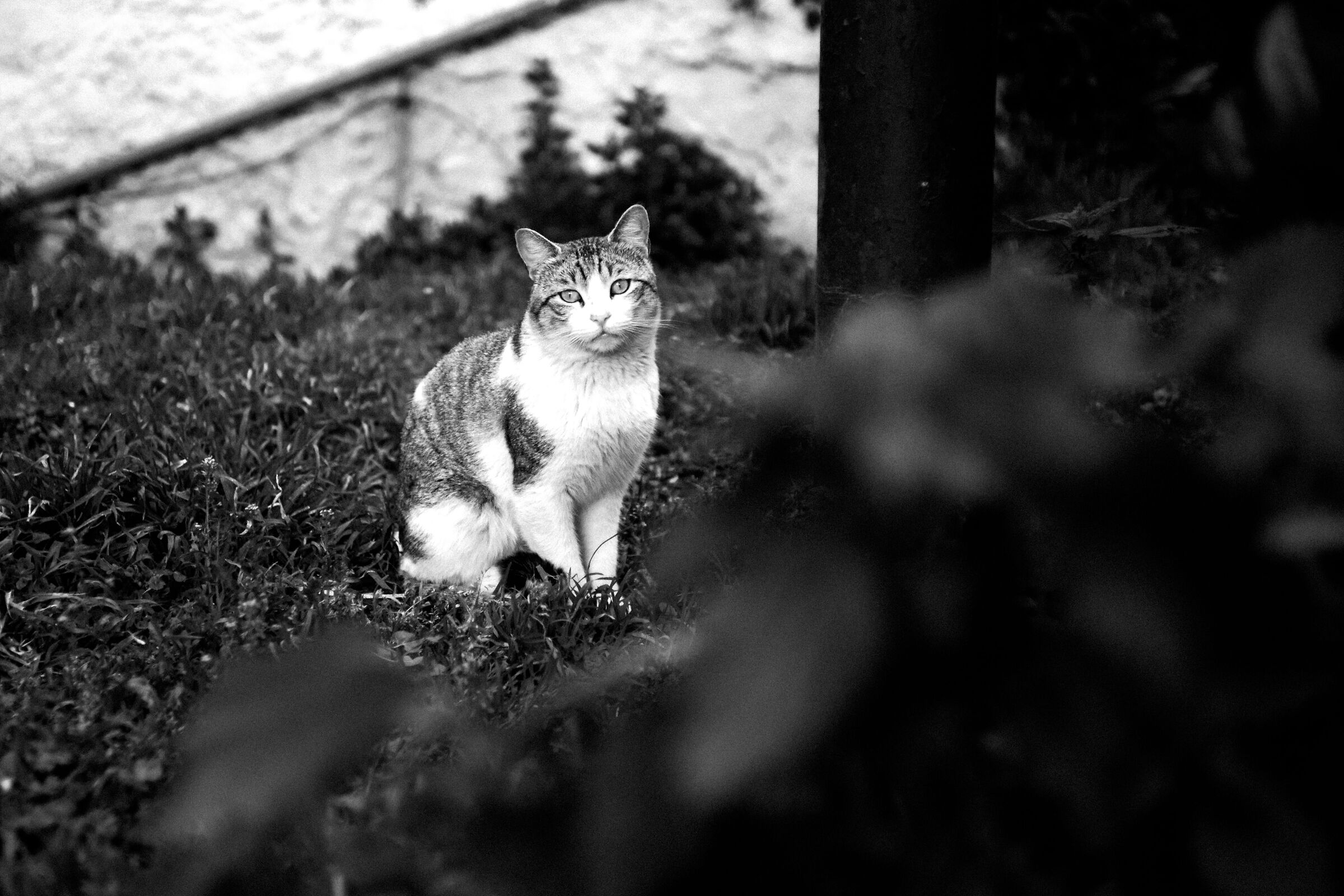 Untitled Photo