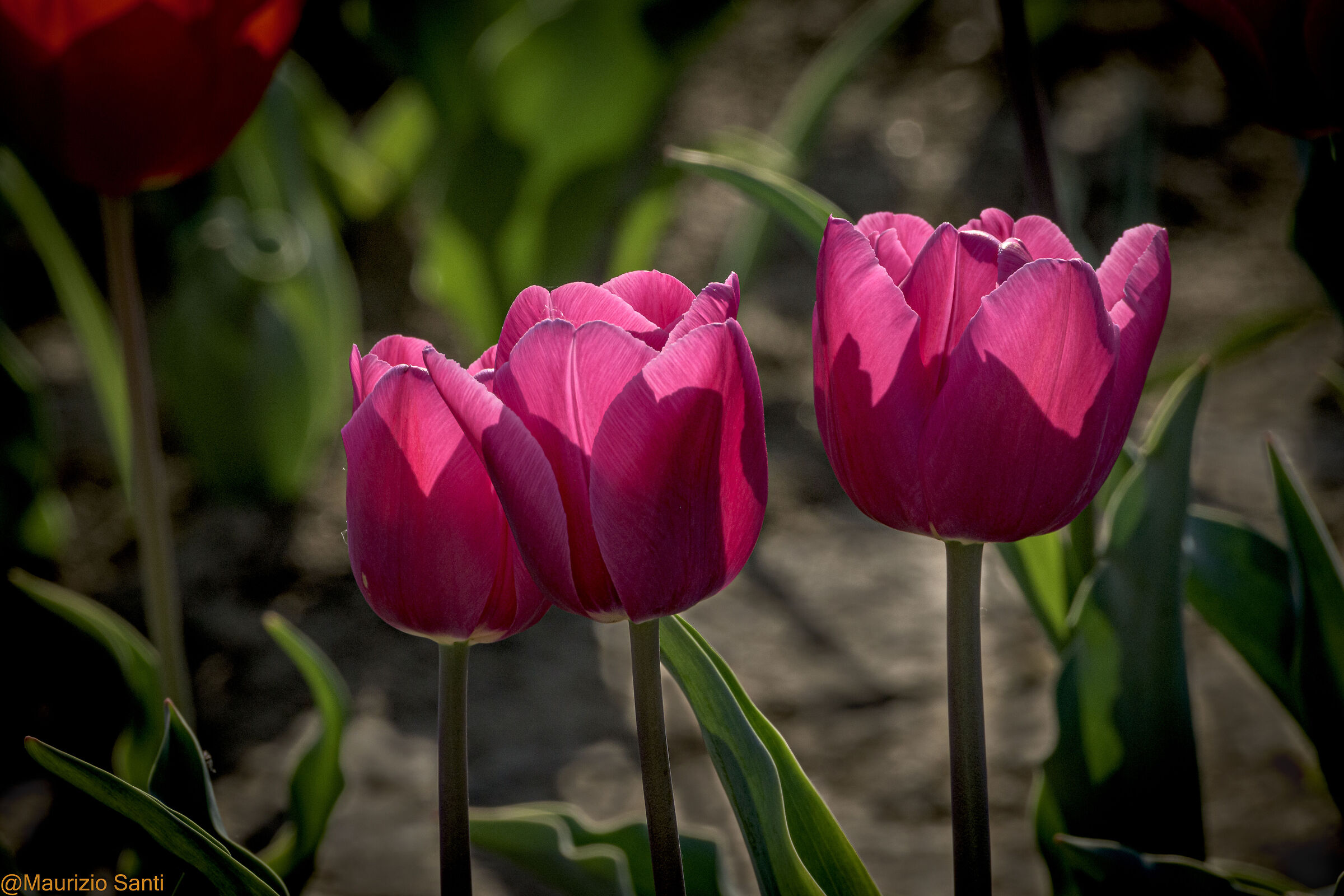 #scattaunricordo2025